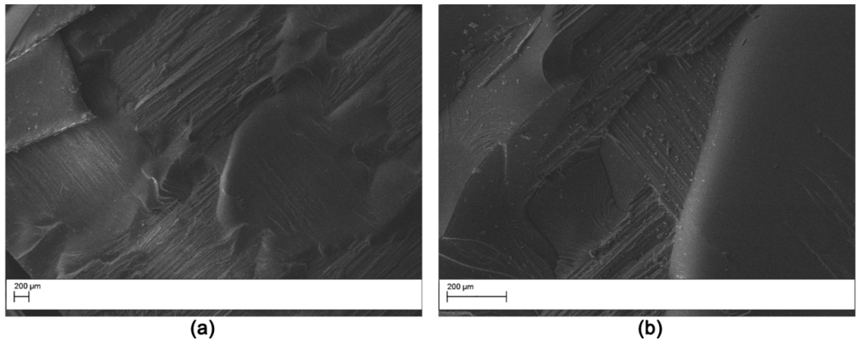 Polymers 11 01029 g011