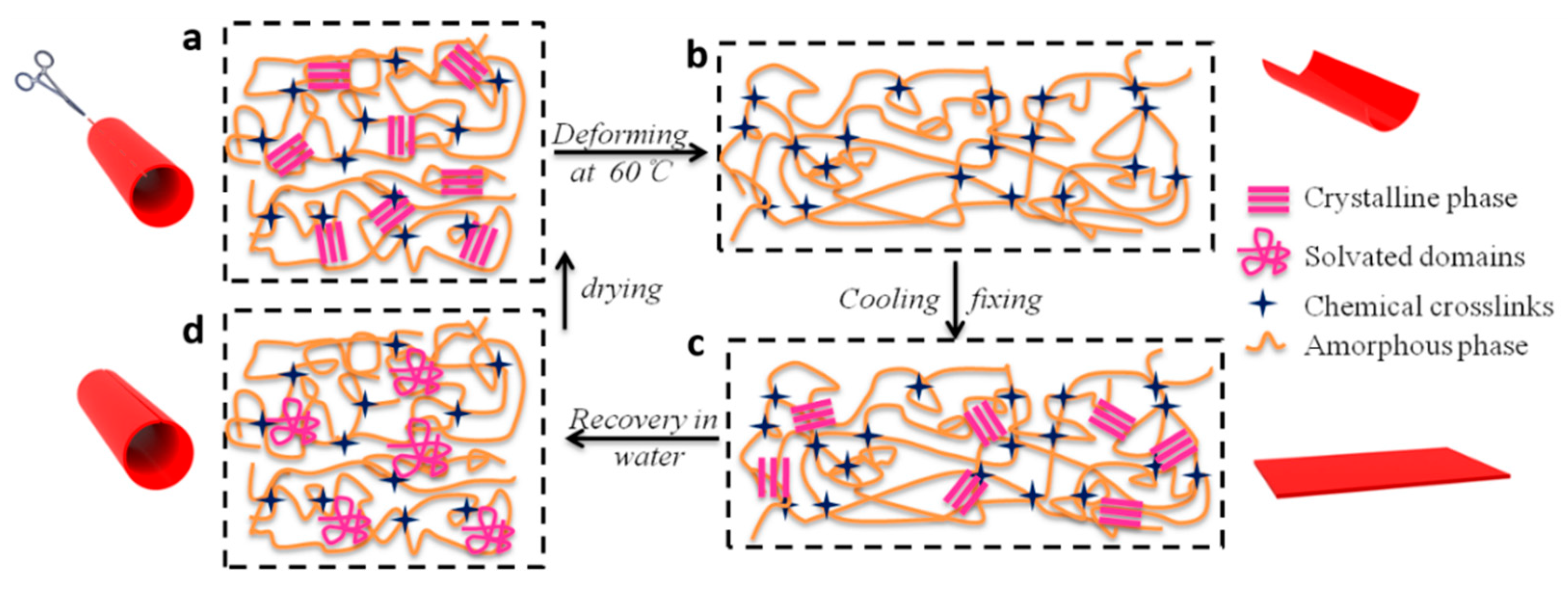 Polymers 11 01030 g008