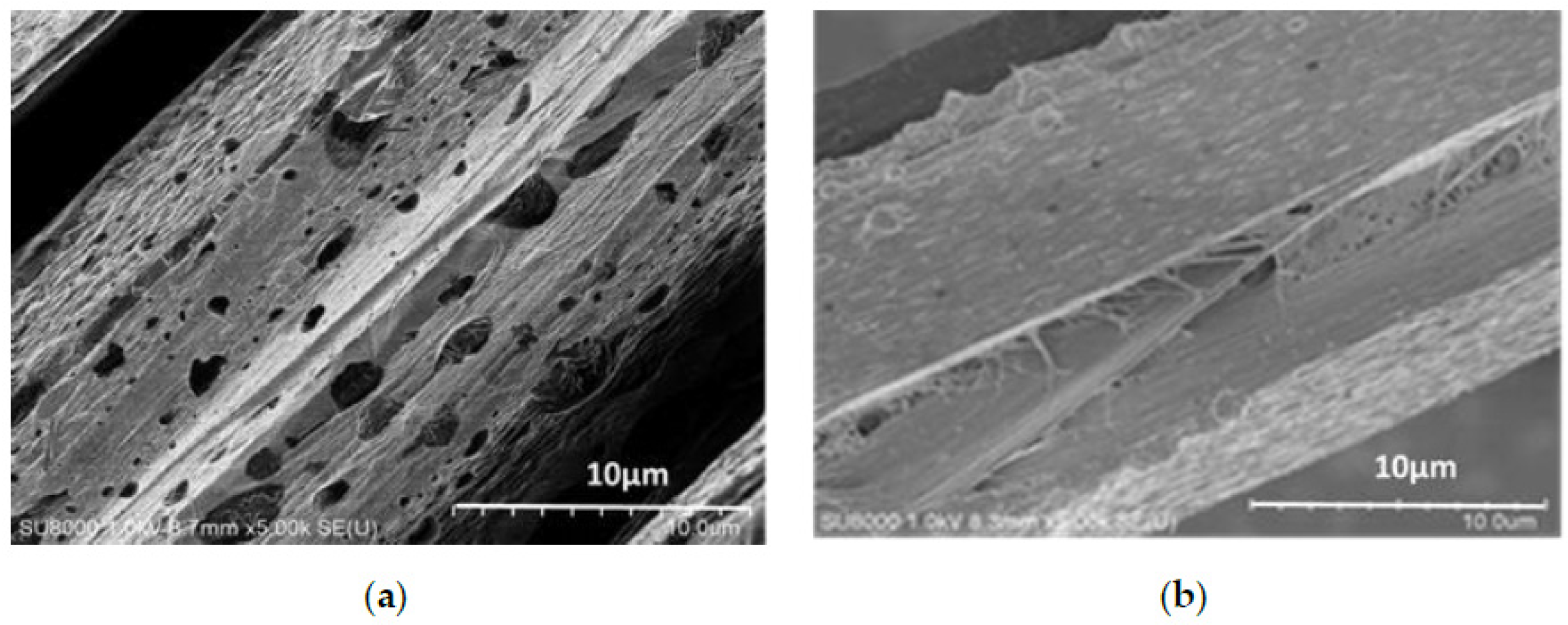 Polymers 11 01110 g004