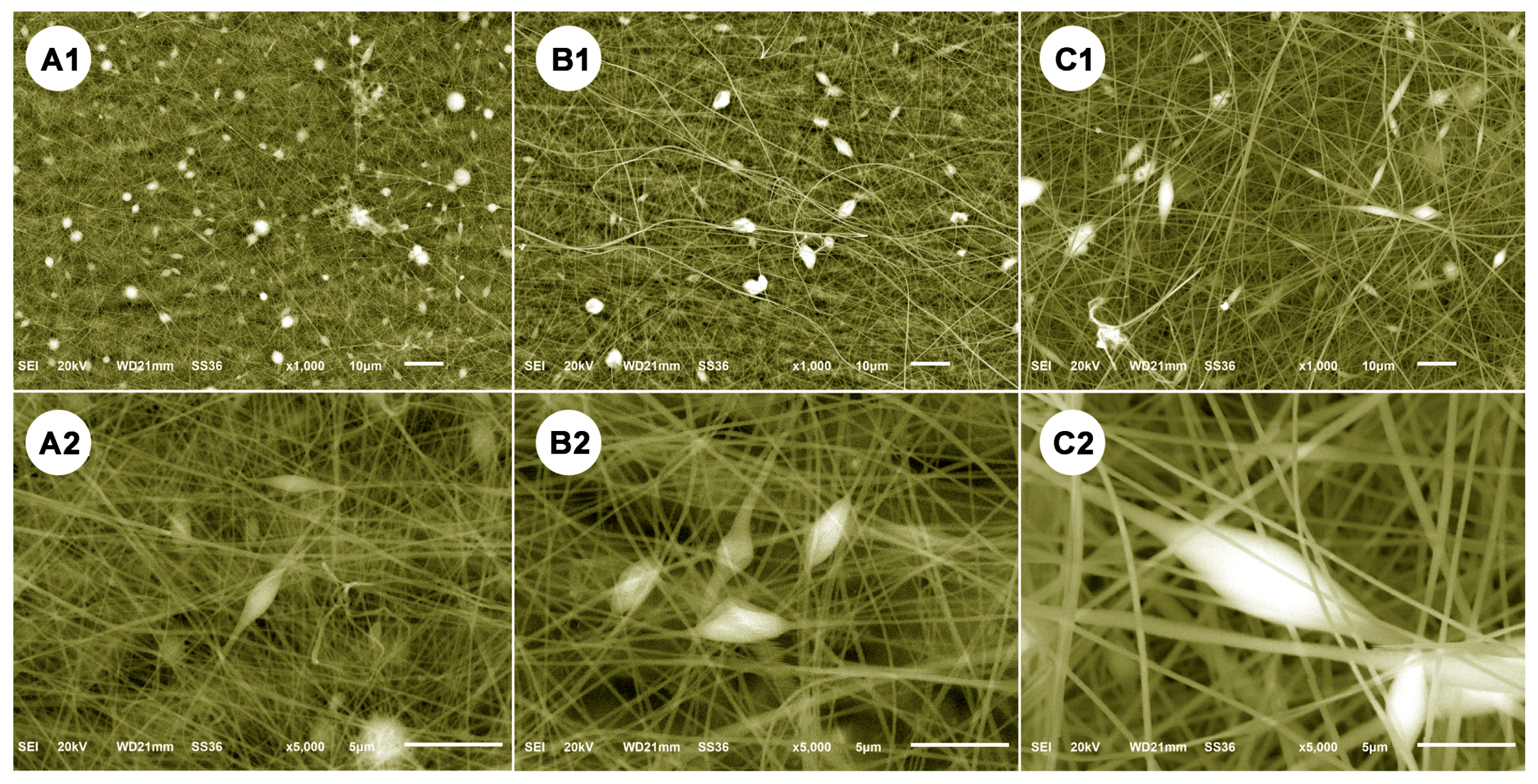 Polymers 11 01117 g005