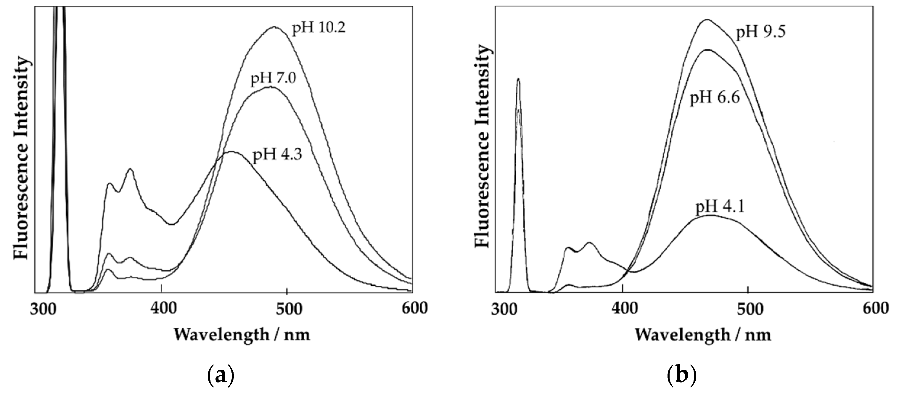Polymers 11 01196 g002