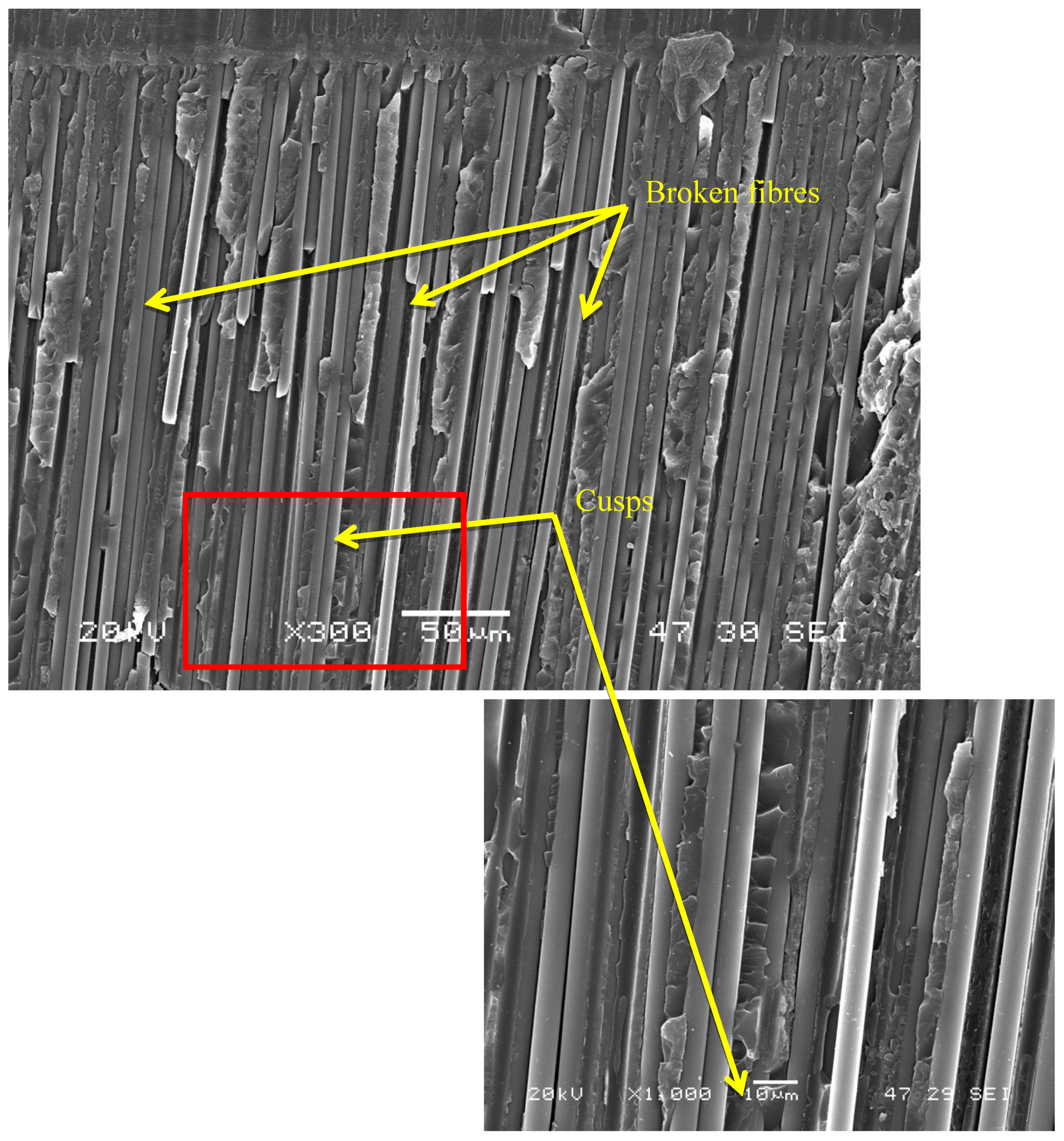 Polymers 11 01243 g006