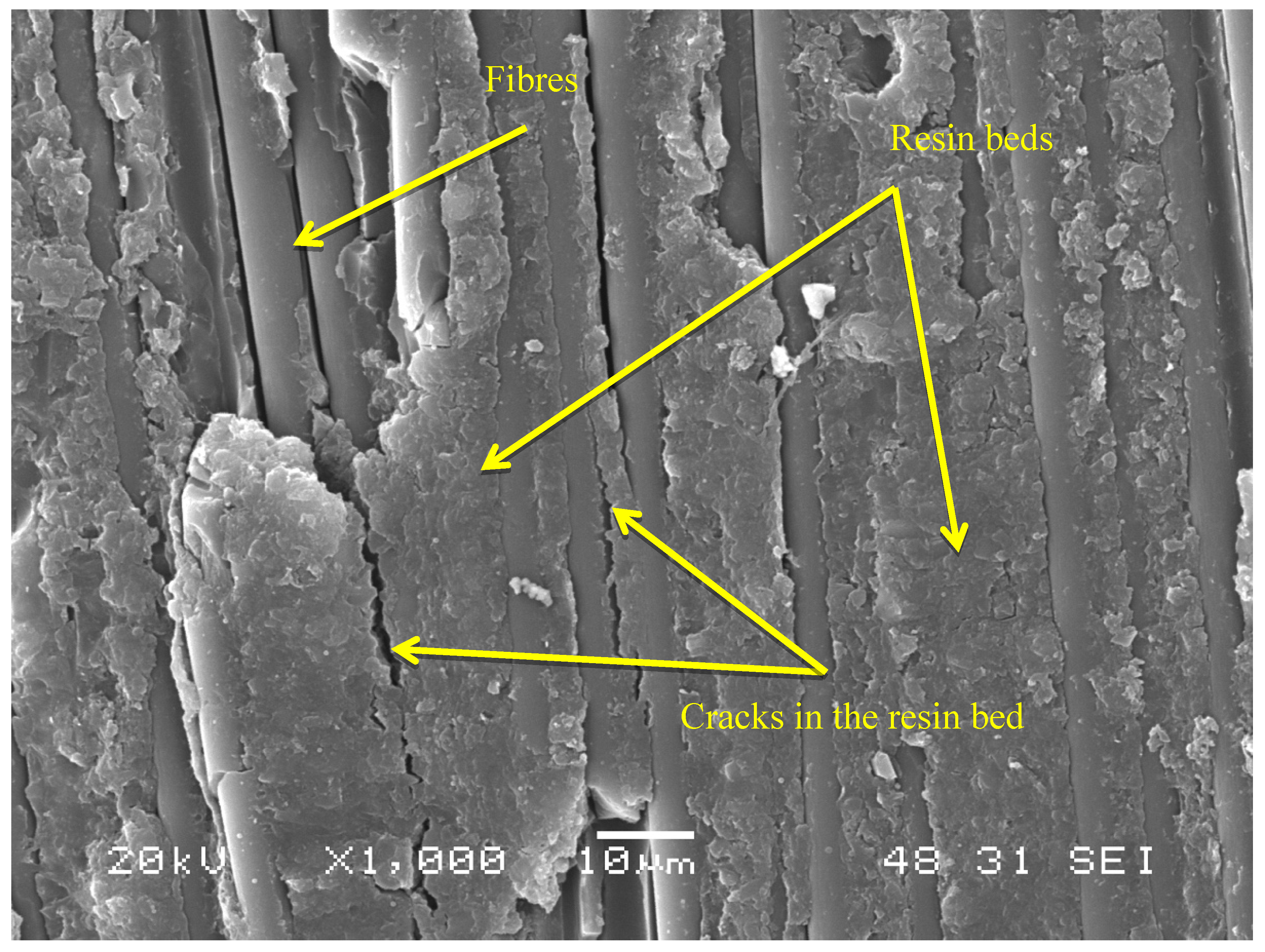 Polymers 11 01243 g007