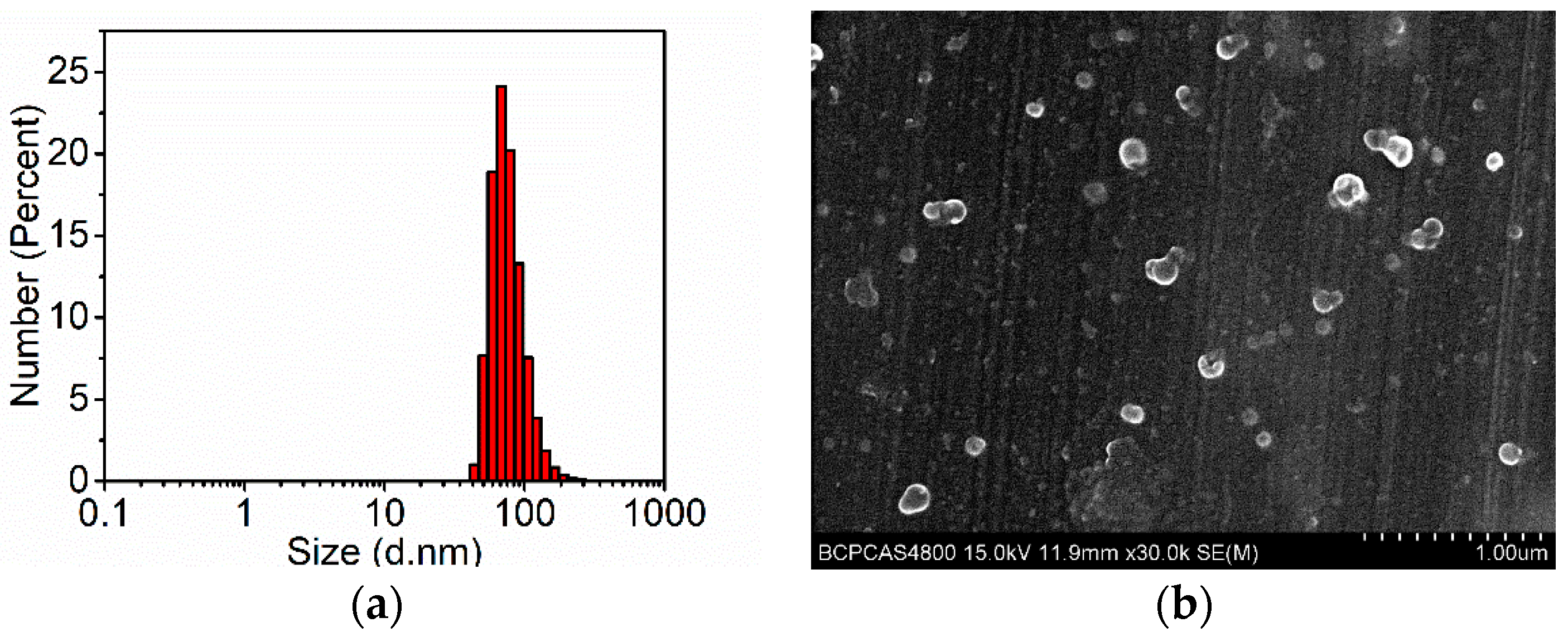 Polymers 11 01290 g004