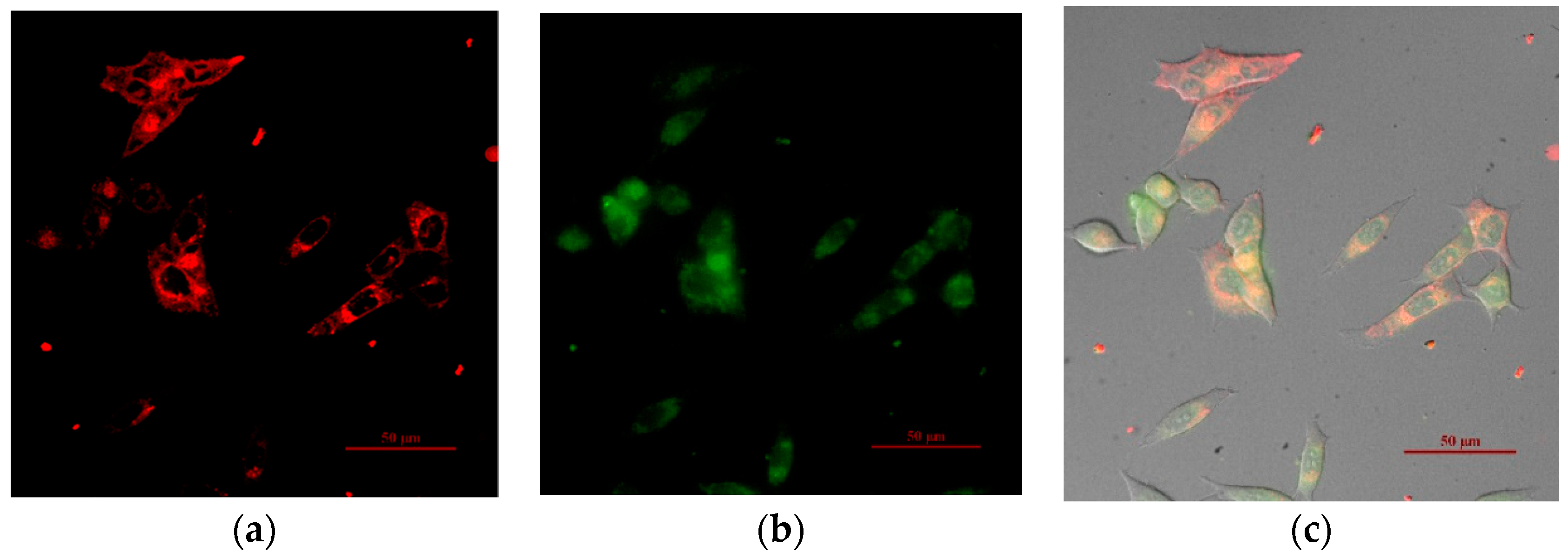 Polymers 11 01290 g006