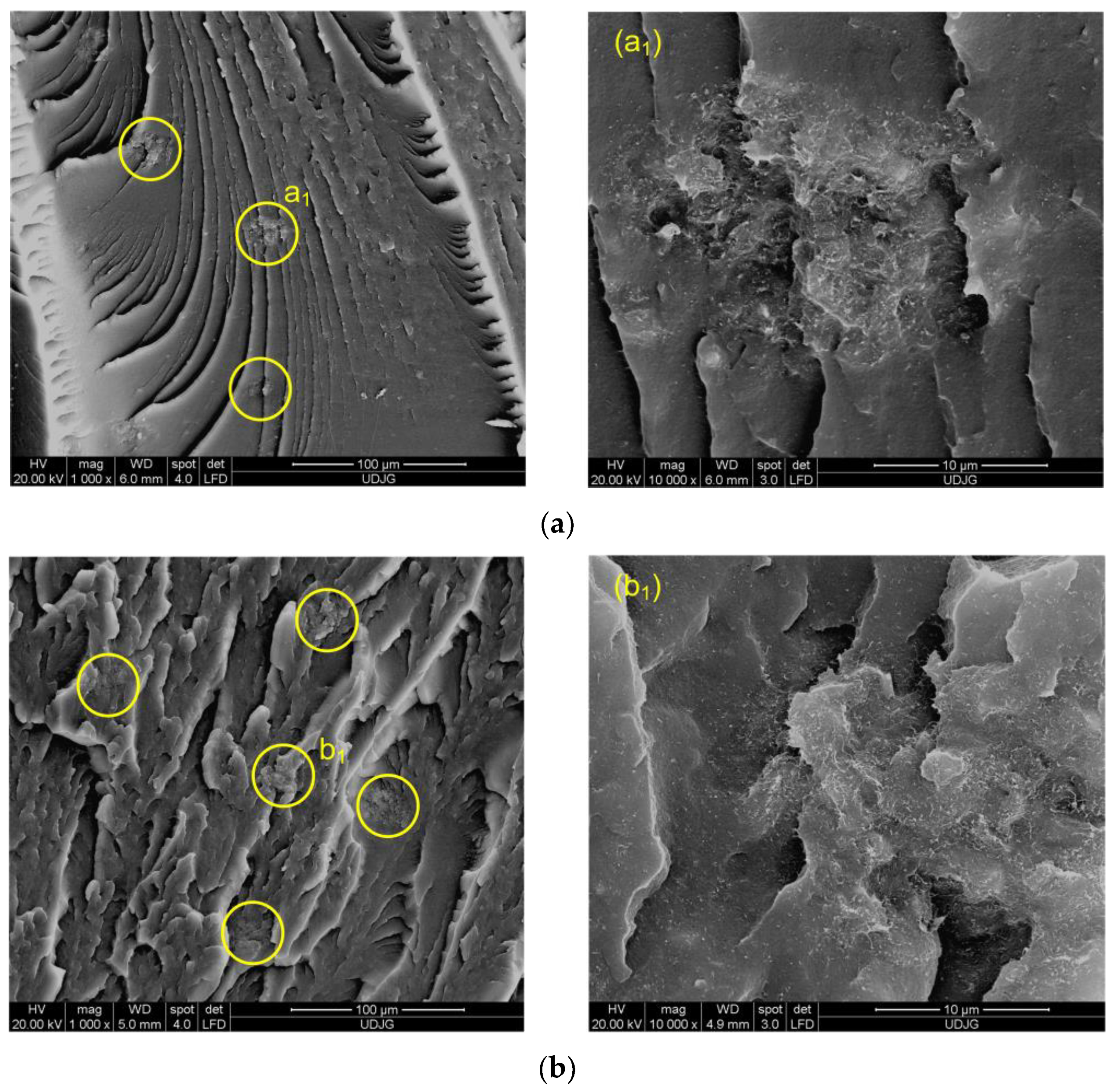 Polymers 11 01300 g009