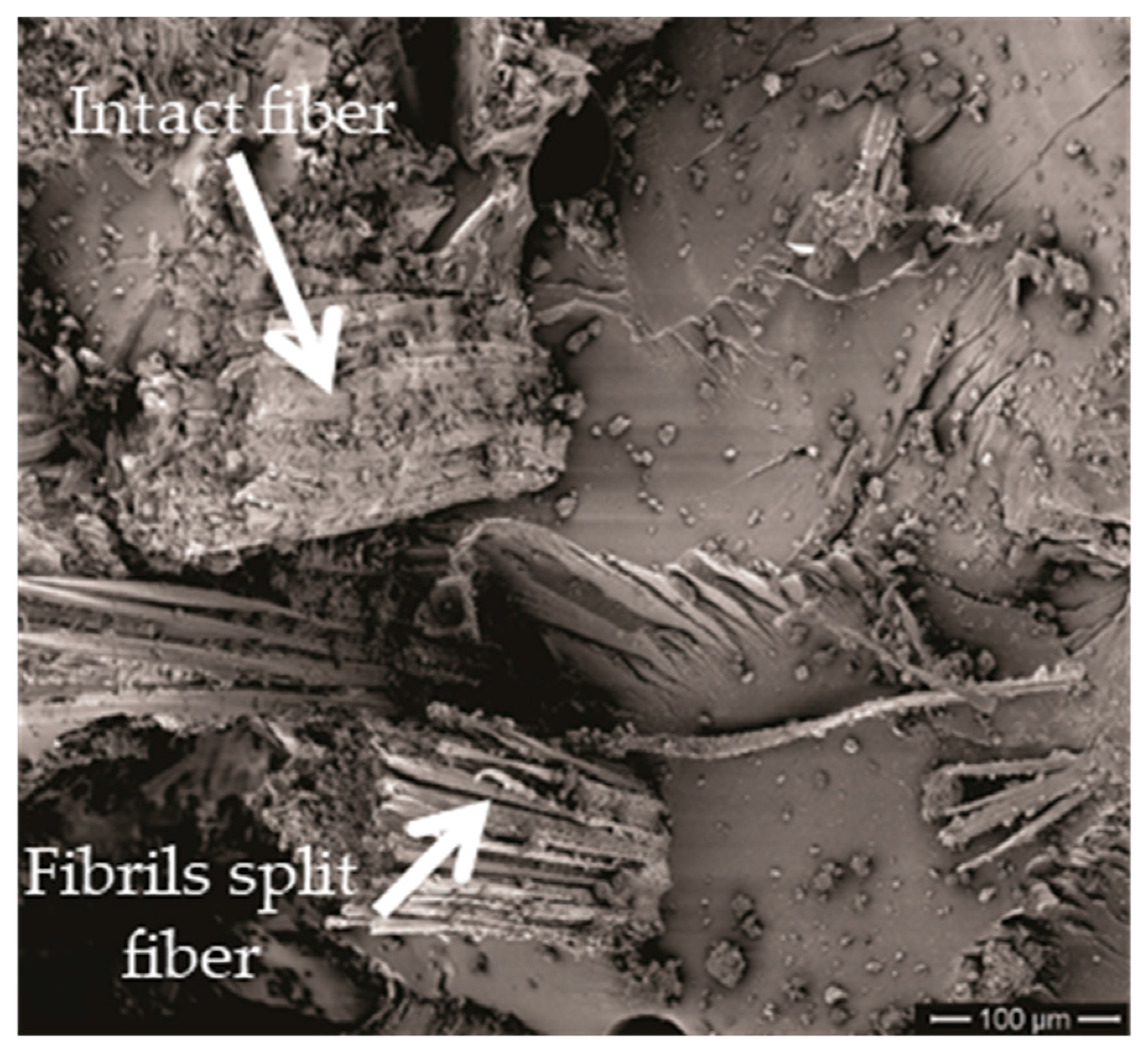 Polymers 11 01356 g016