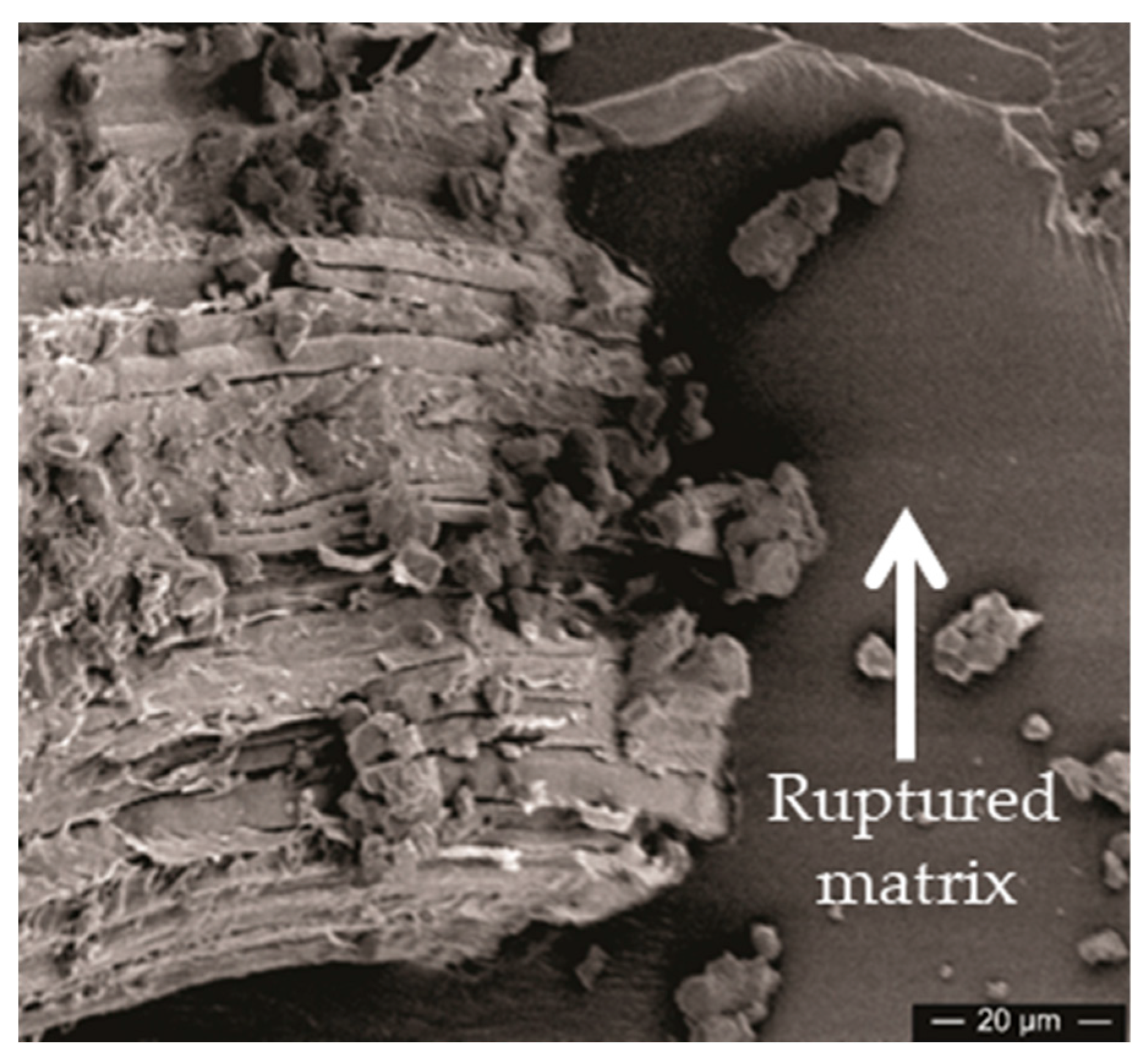Polymers 11 01356 g018