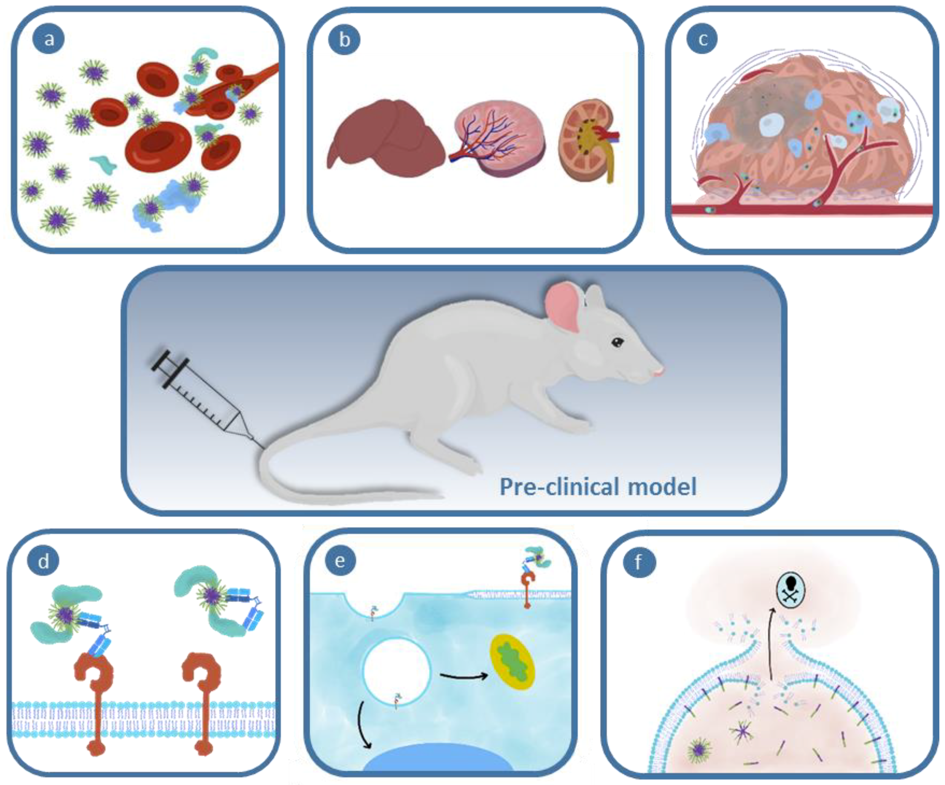 Polymers 11 01441 g001