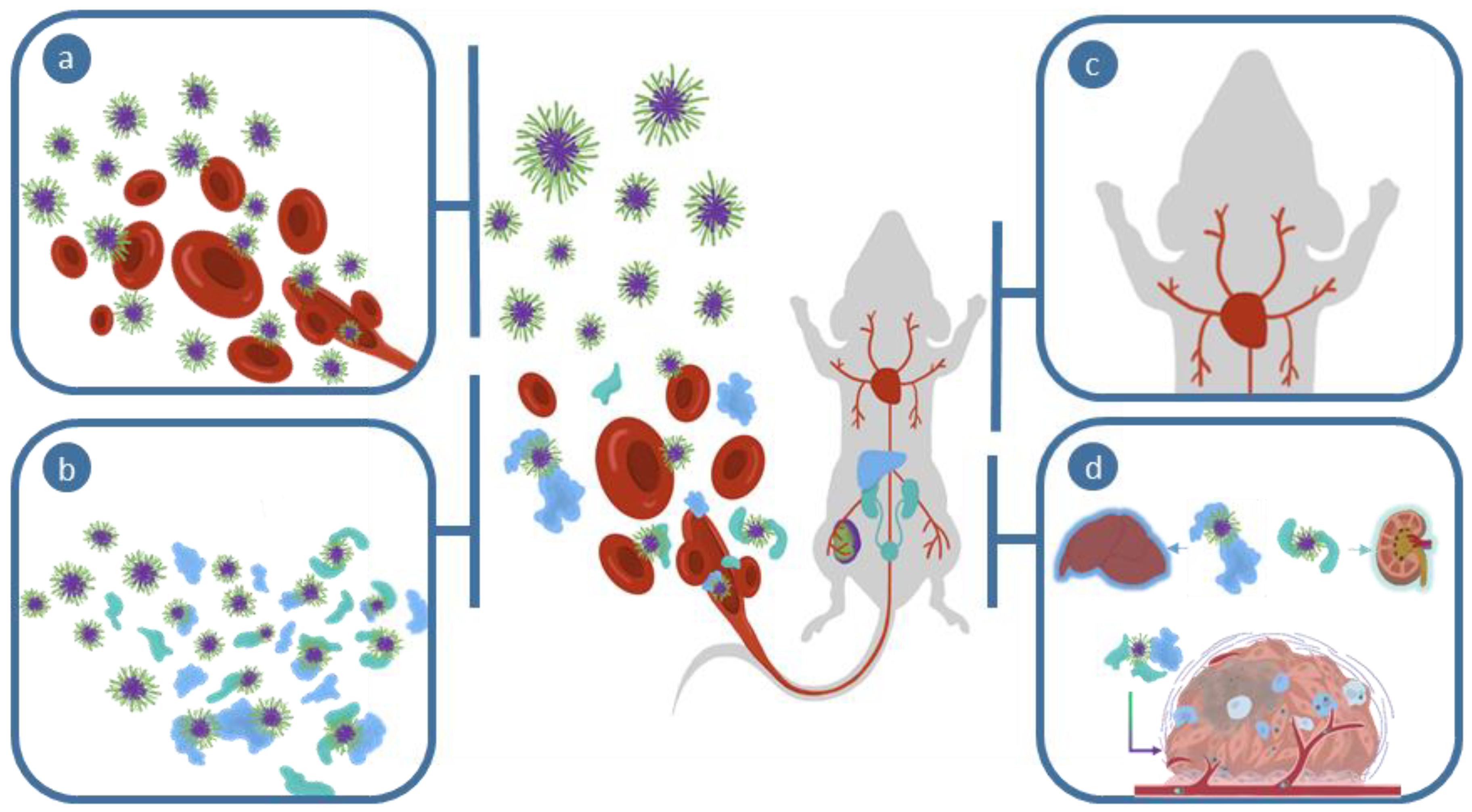 Polymers 11 01441 g002