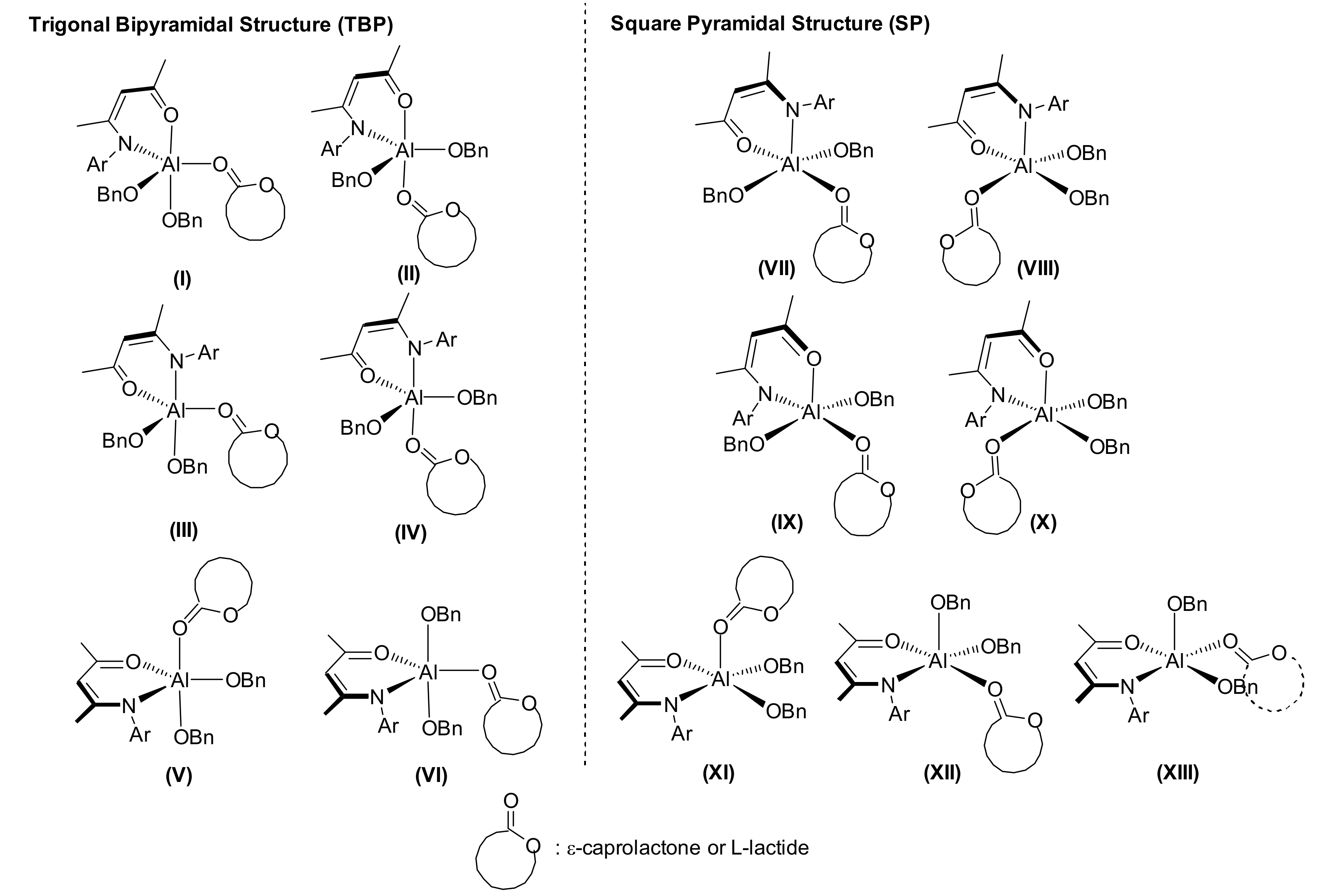Polymers 11 01530 g003