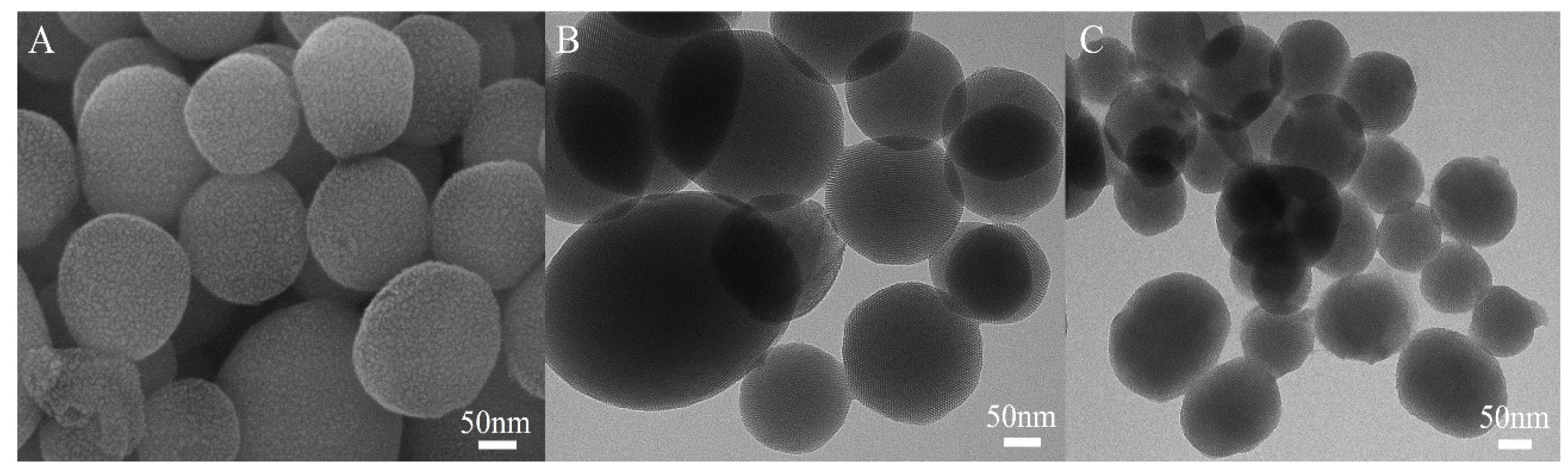 Polymers 11 01716 g004