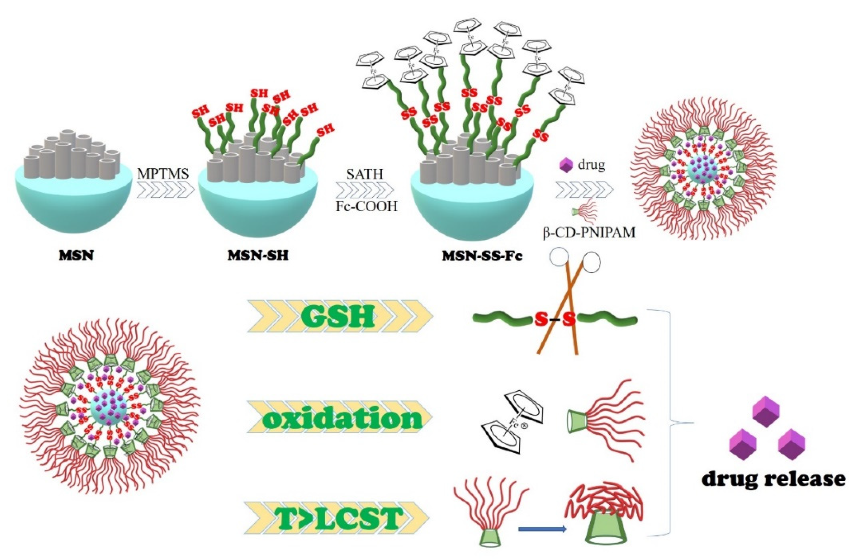 Polymers 11 01716 sch001