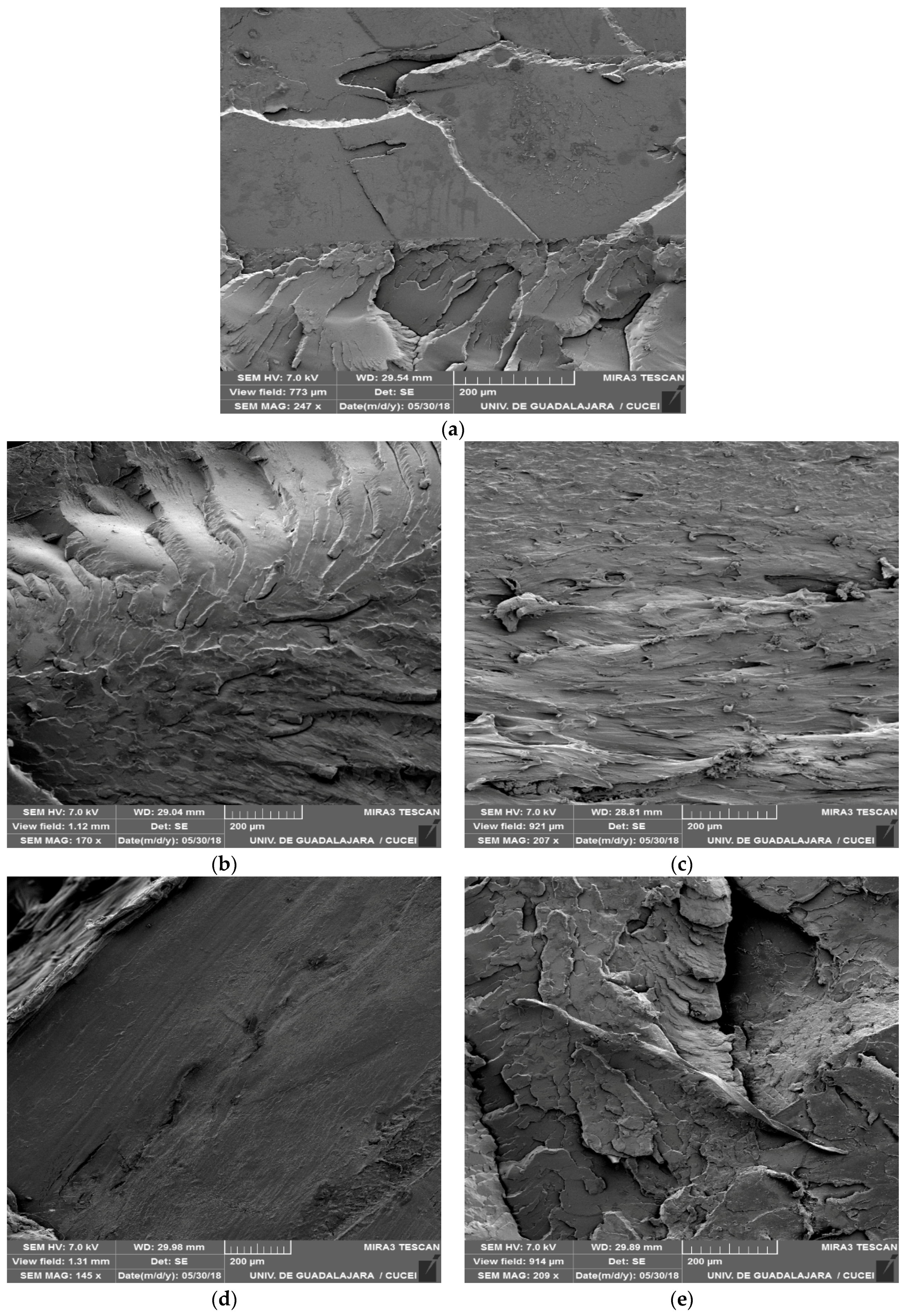 Polymers 11 01720 g004a