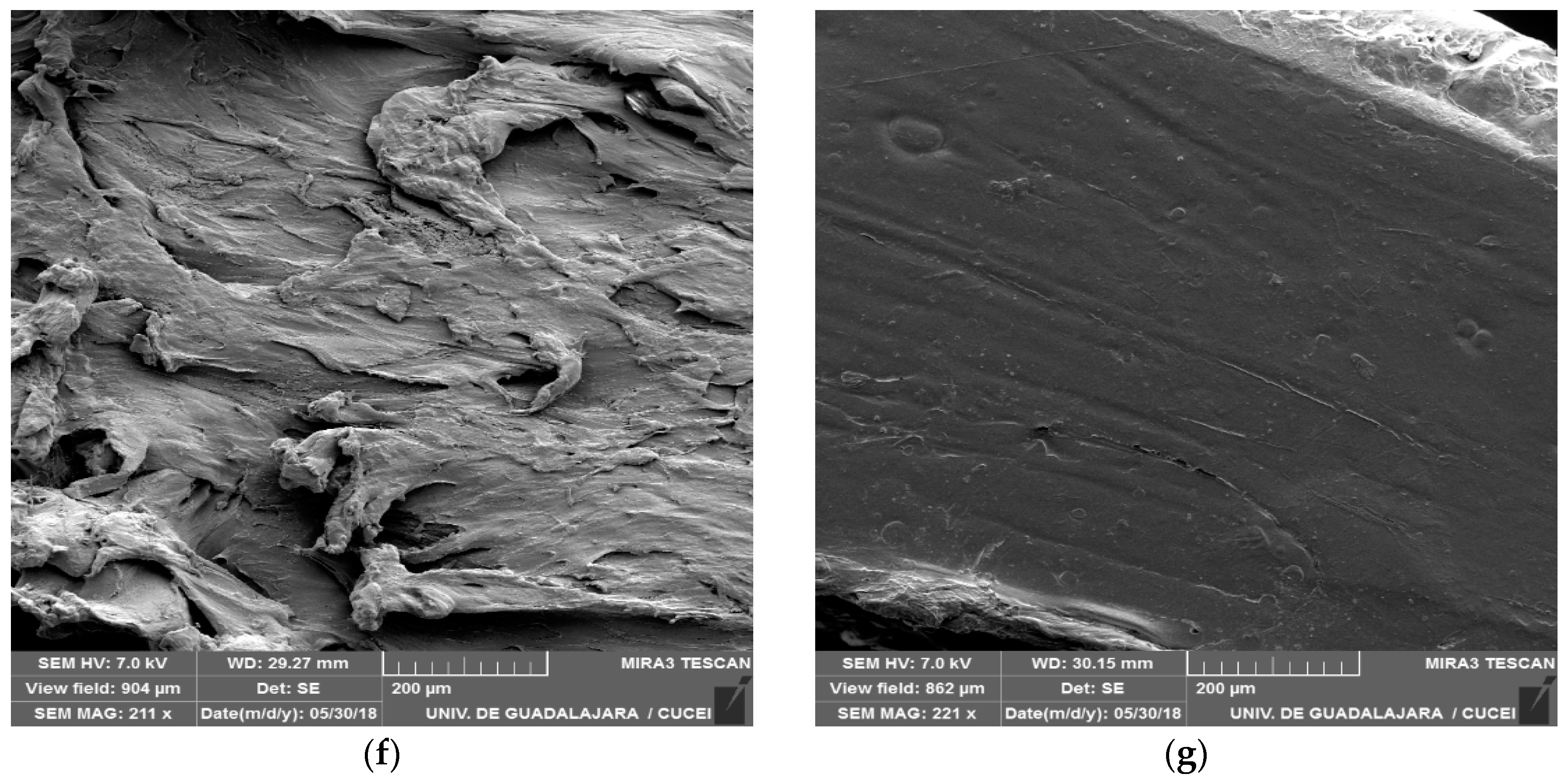 Polymers 11 01720 g004b
