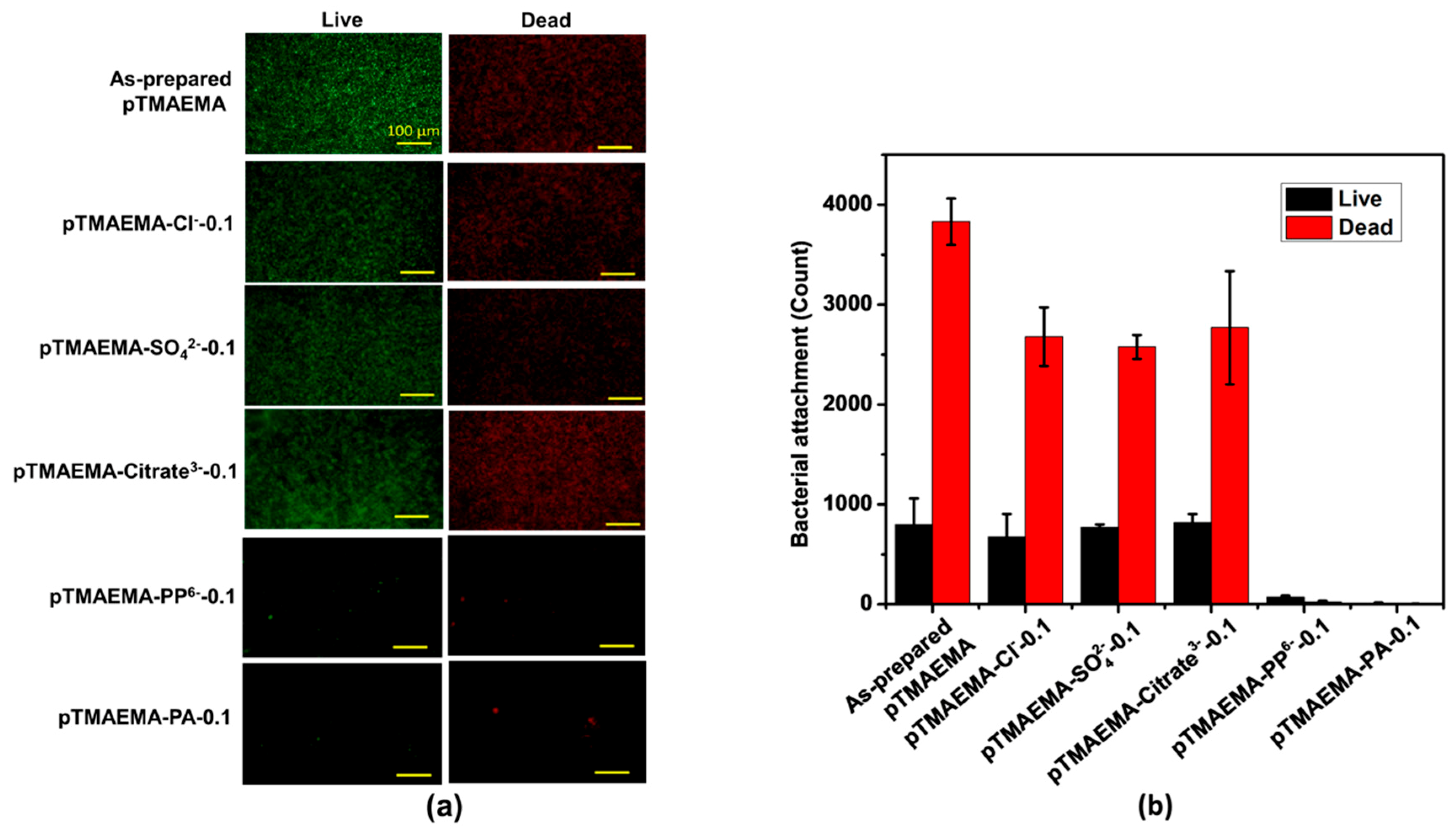 Polymers 11 01721 g008 Polymers 11 01721 g008