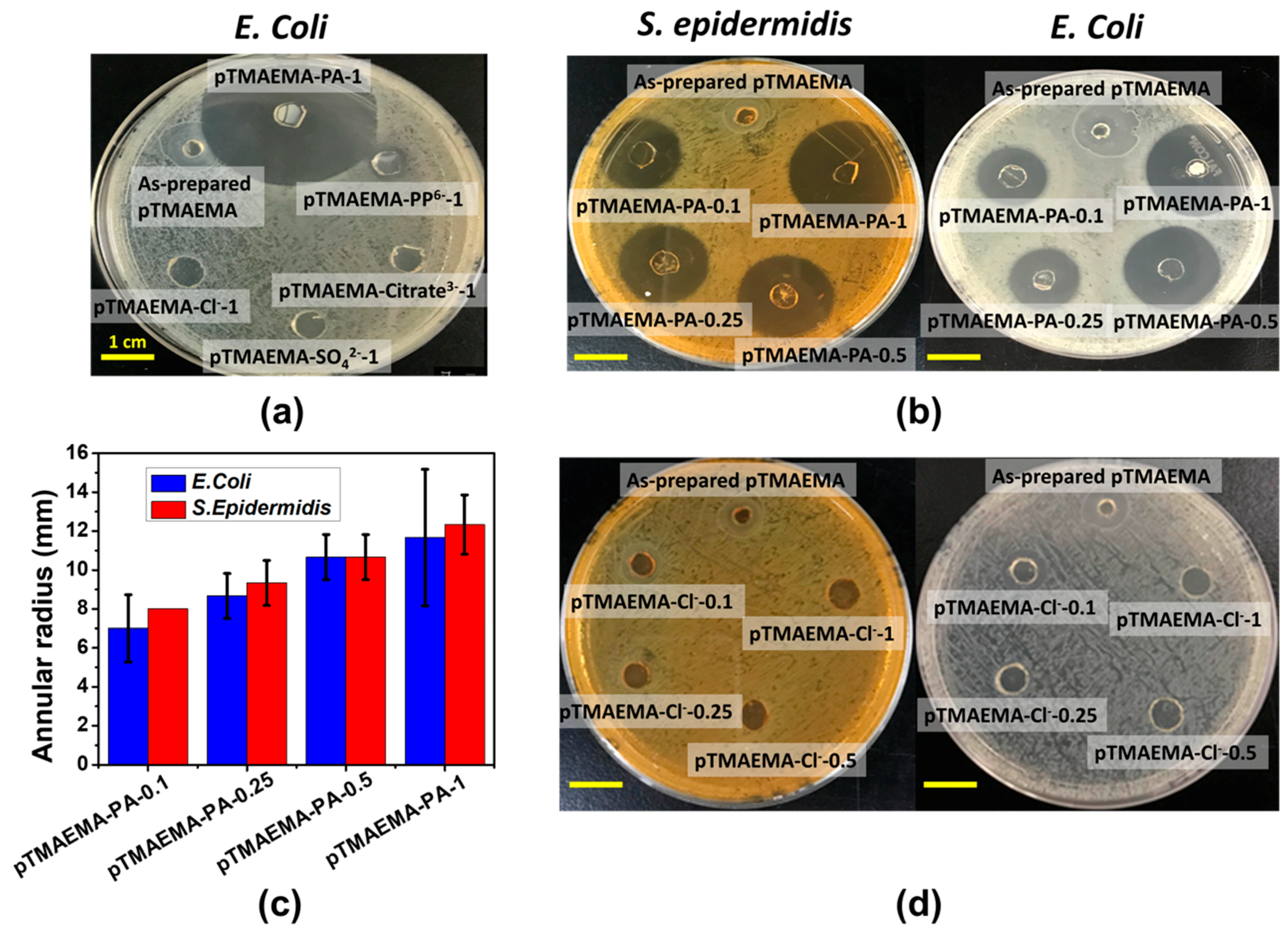Polymers 11 01721 g009 Polymers 11 01721 g009