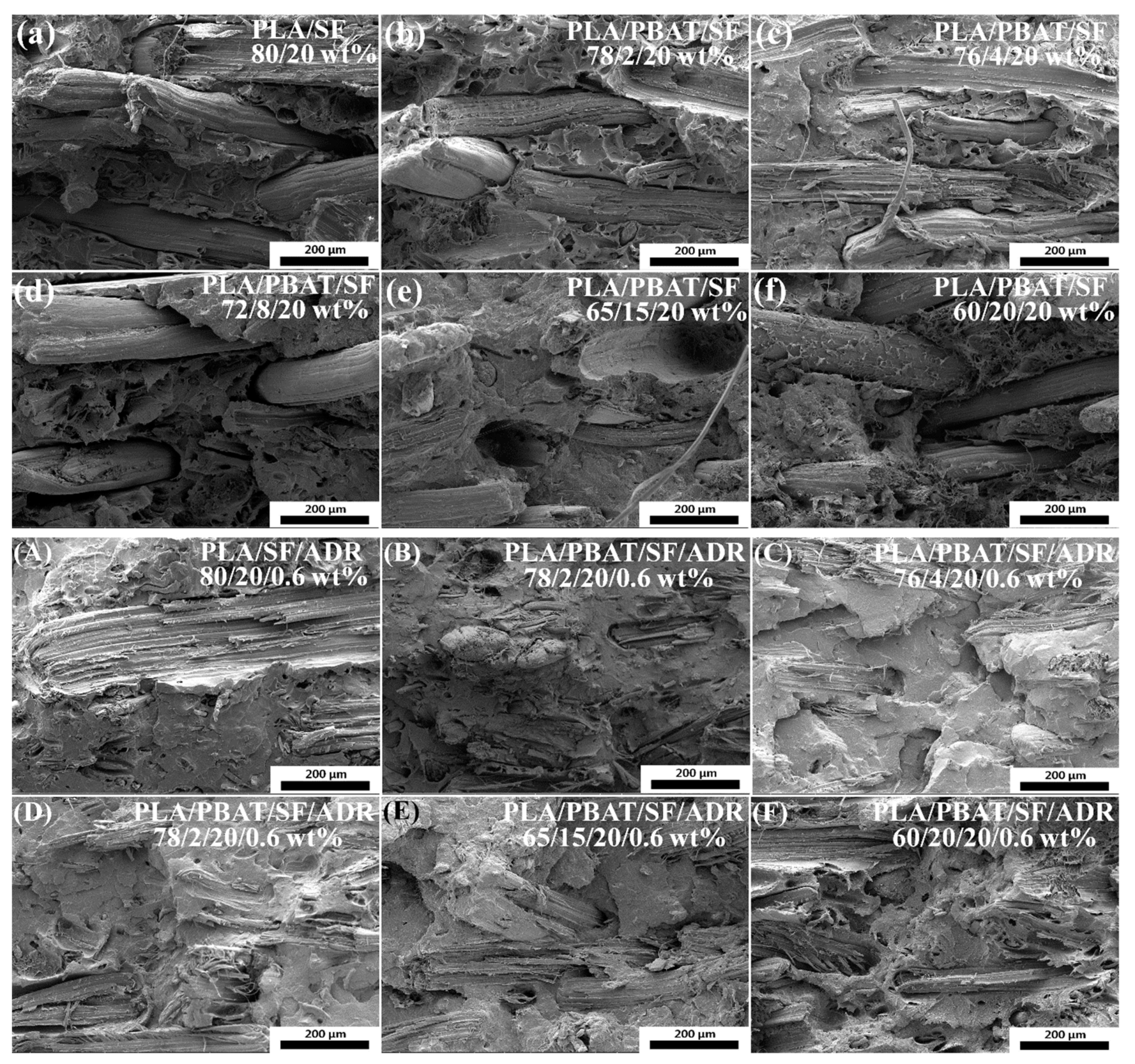 Polymers 11 01747 g004