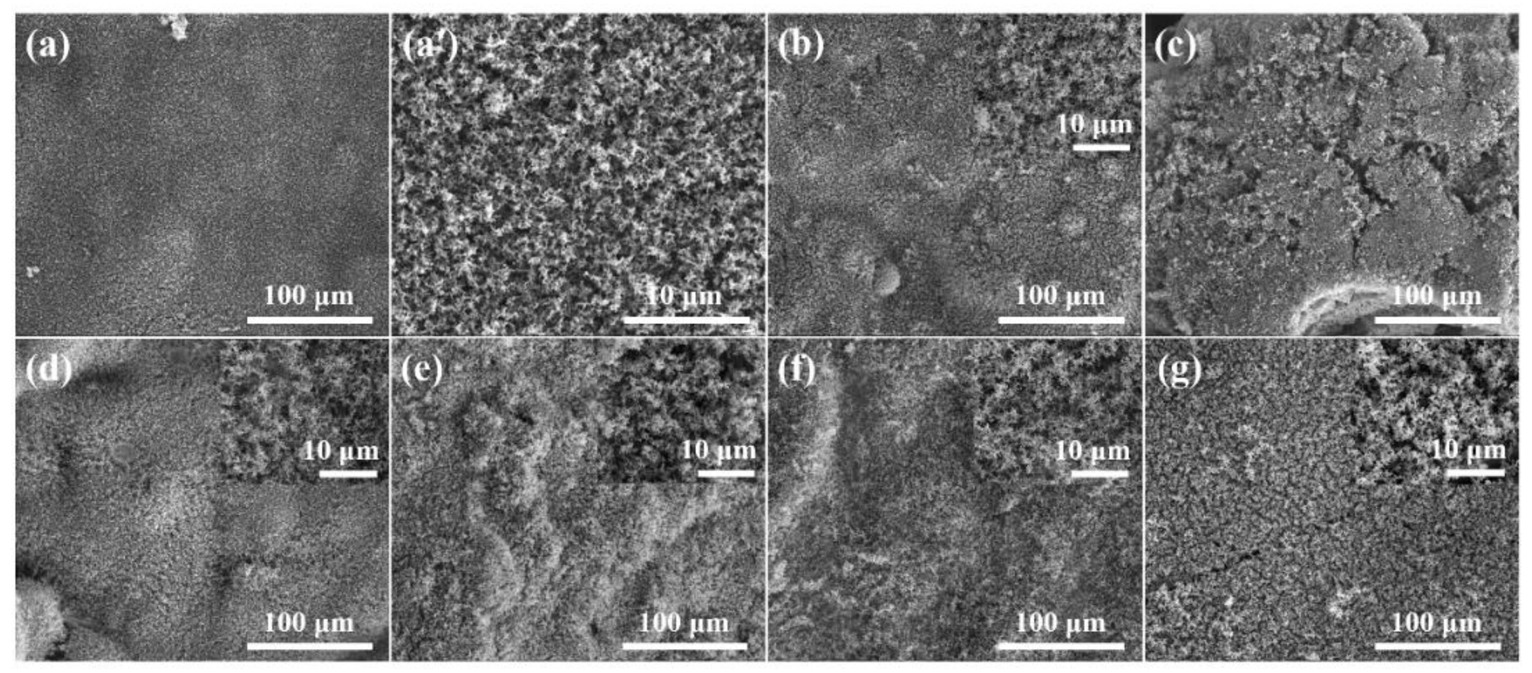 Polymers 11 01776 g009