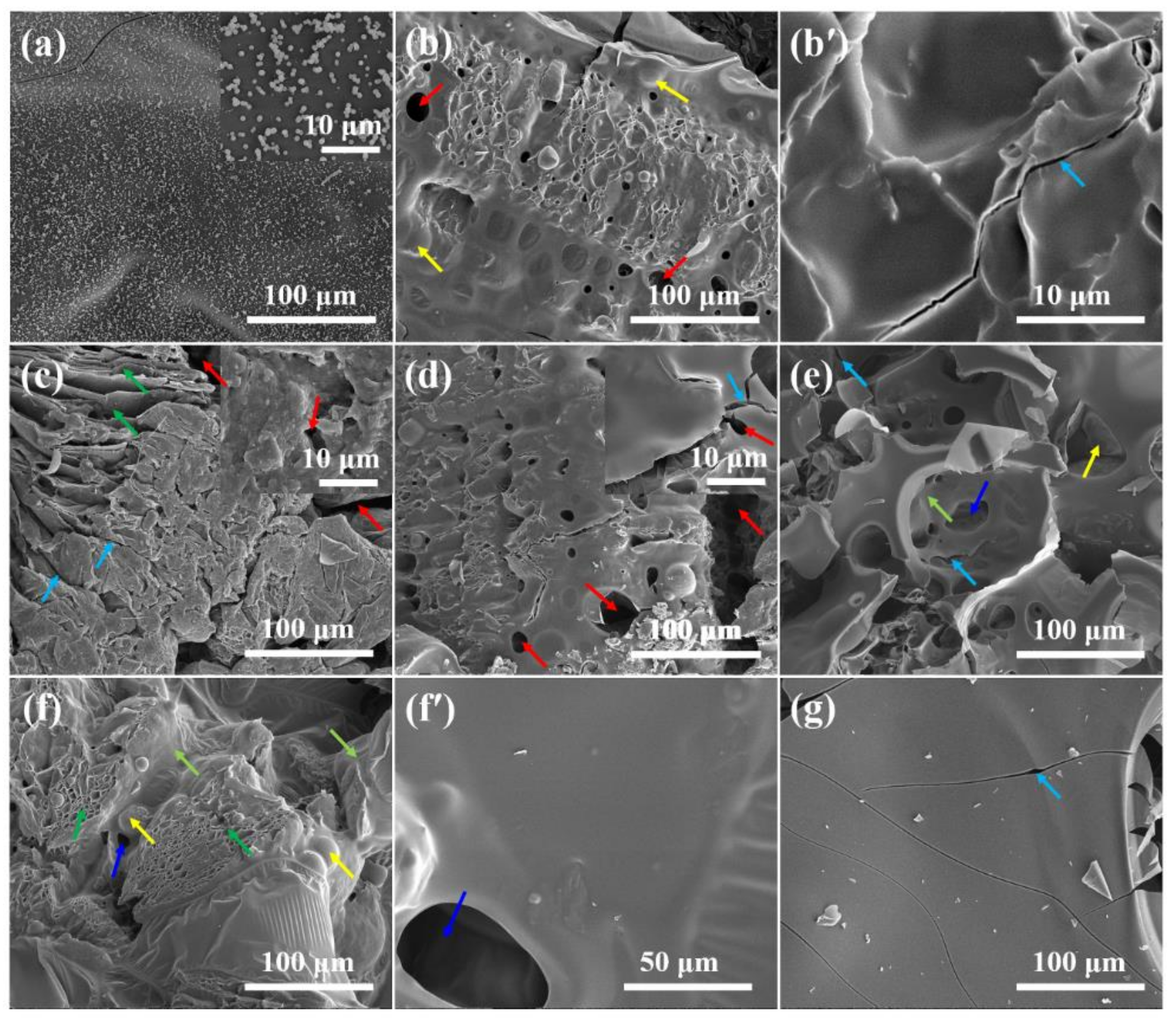 Polymers 11 01776 g010