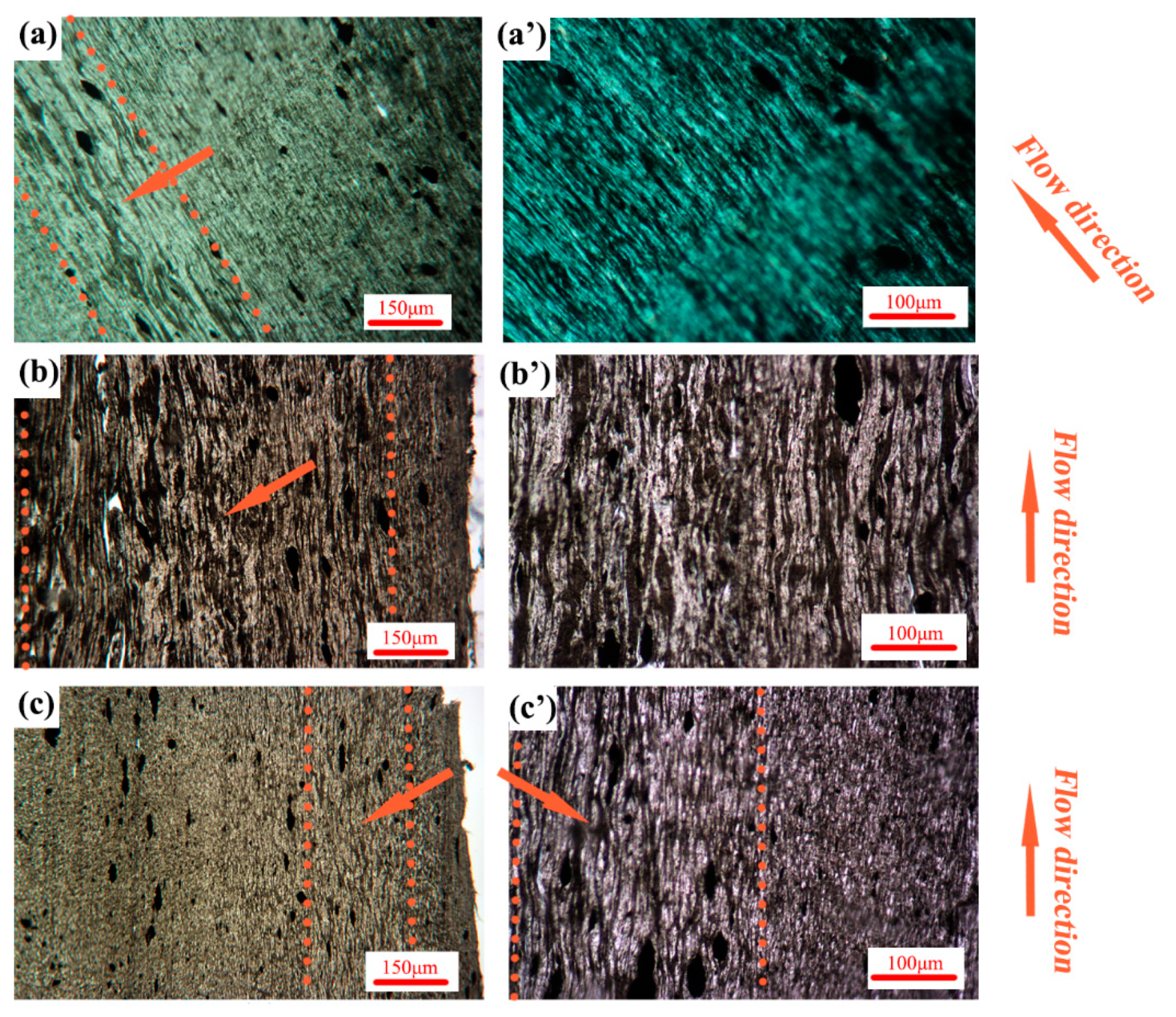 Polymers 11 01779 g008