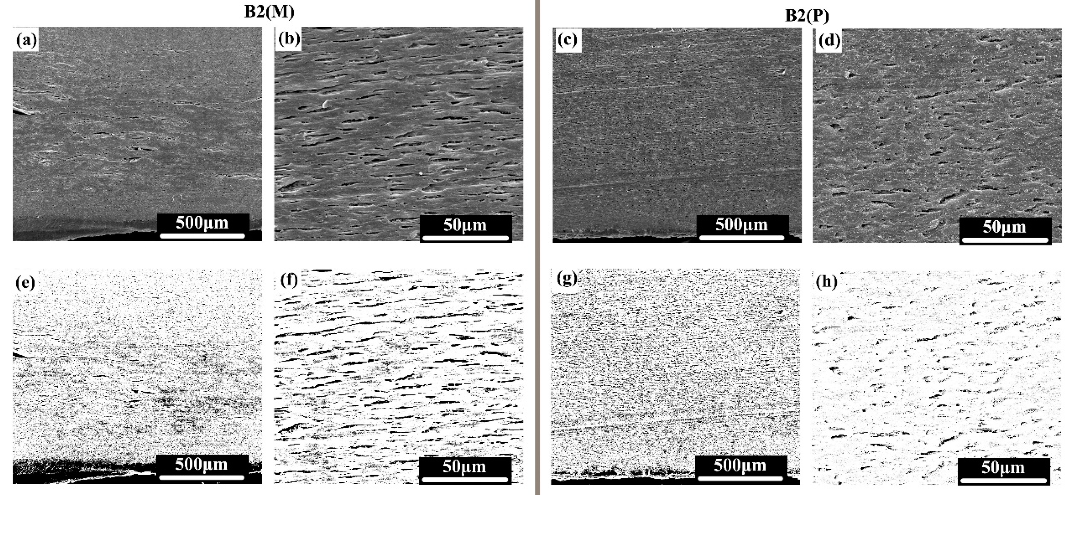 Polymers 11 01779 g010