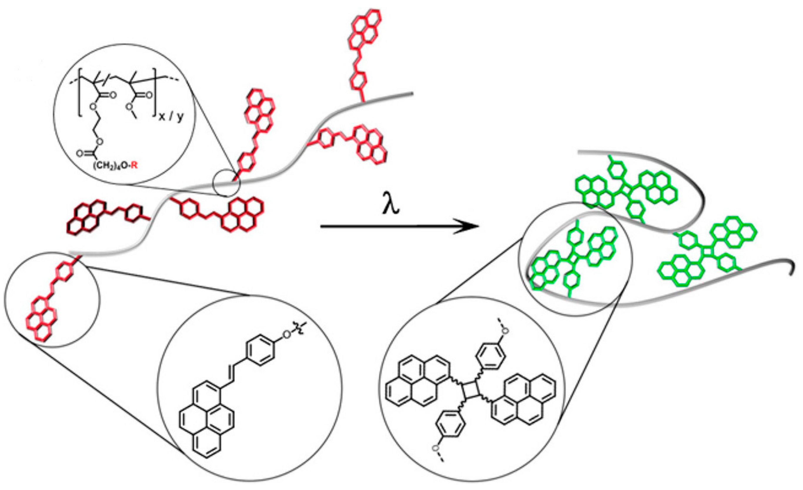 Polymers 11 01903 g005