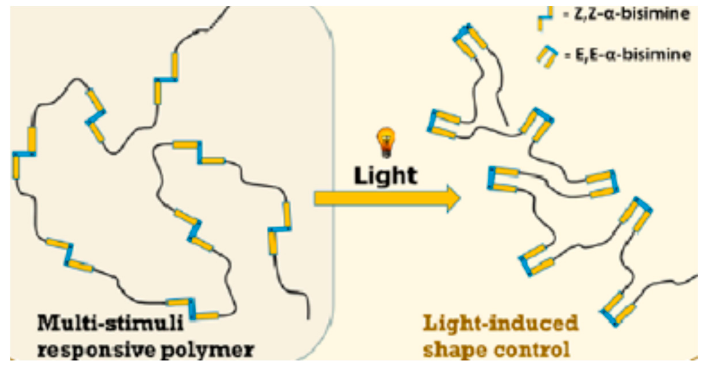 Polymers 11 01903 g009