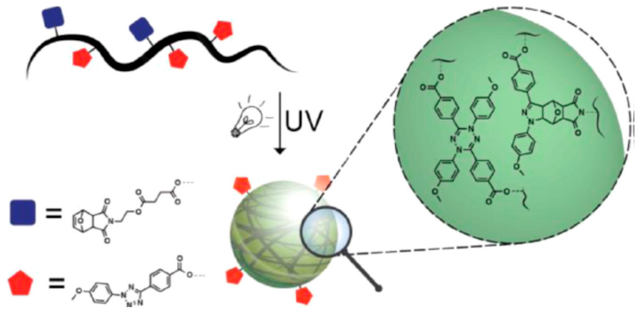 Polymers 11 01903 g014