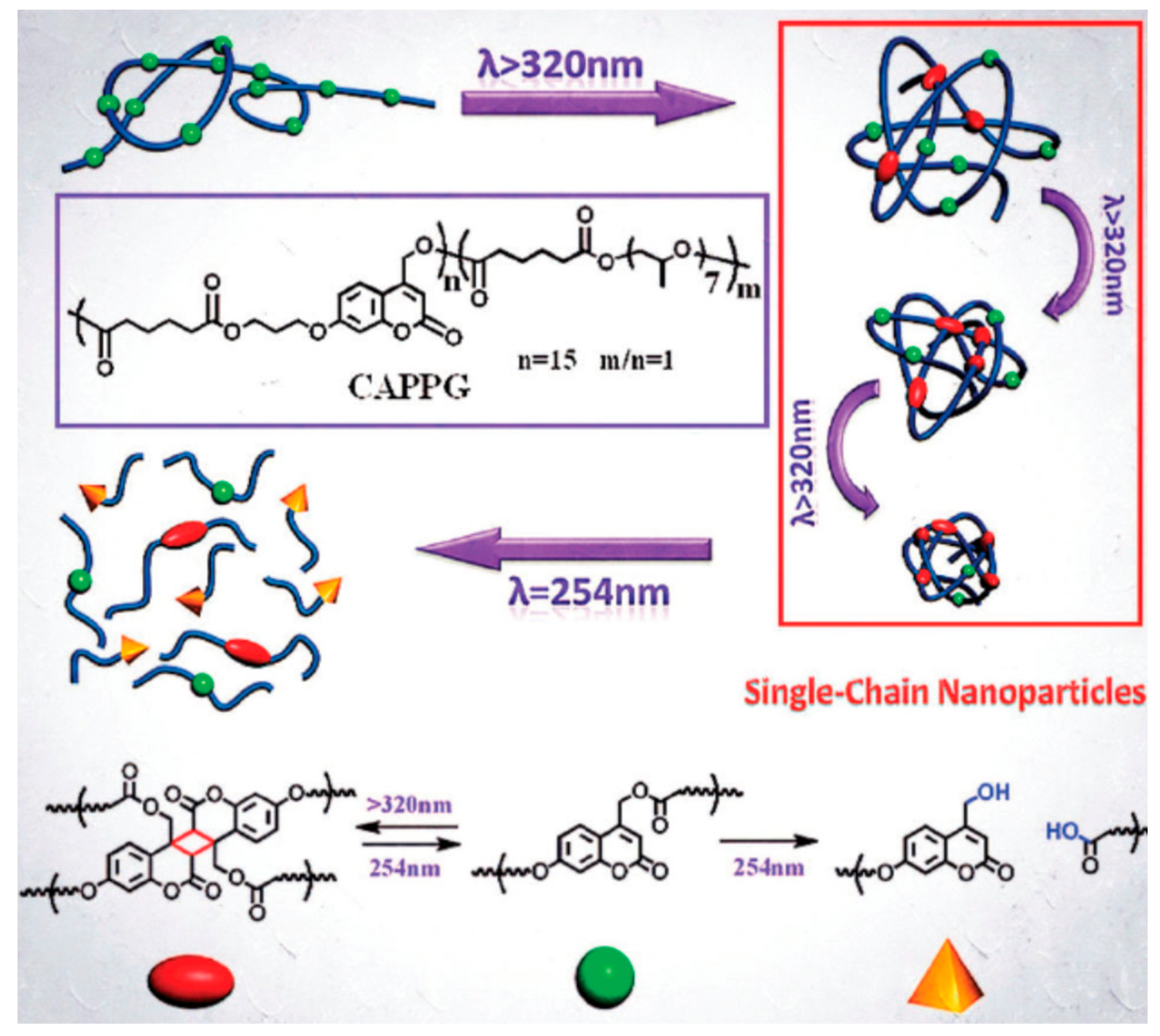 Polymers 11 01903 g019