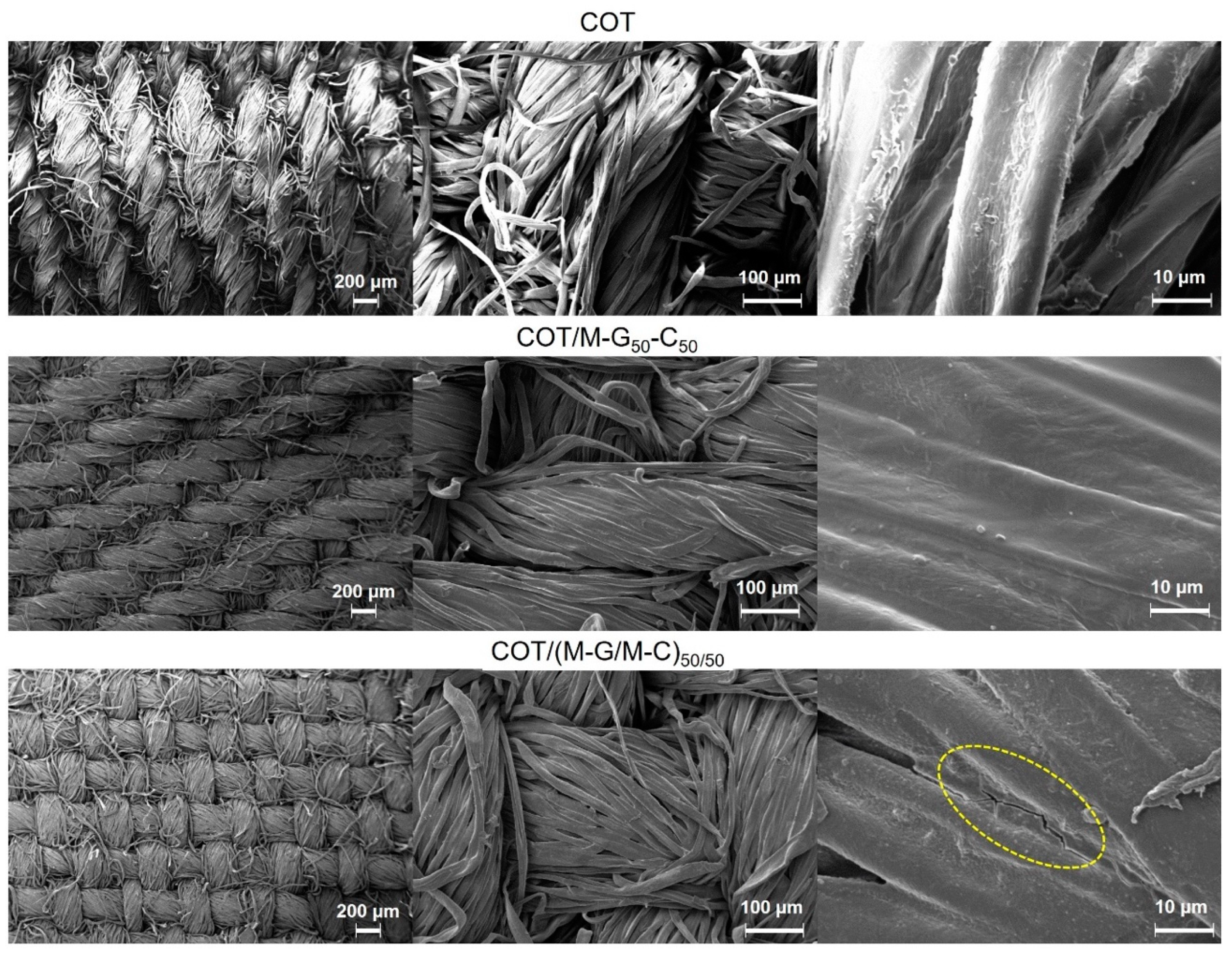 Polymers 11 01904 g002