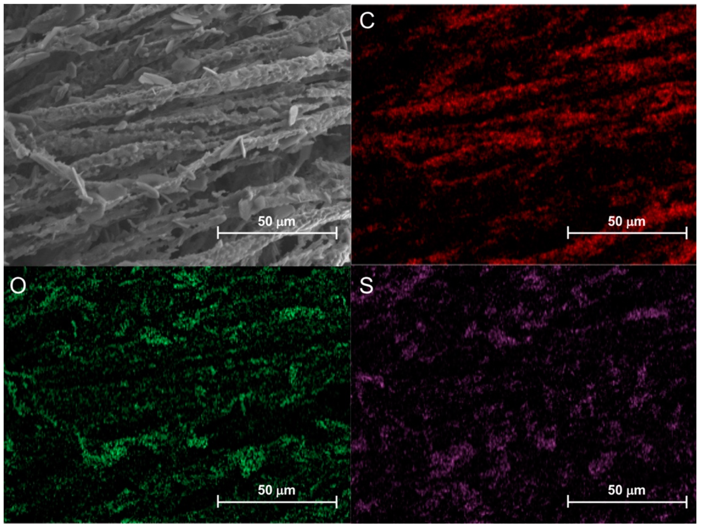 Polymers 11 01904 g015