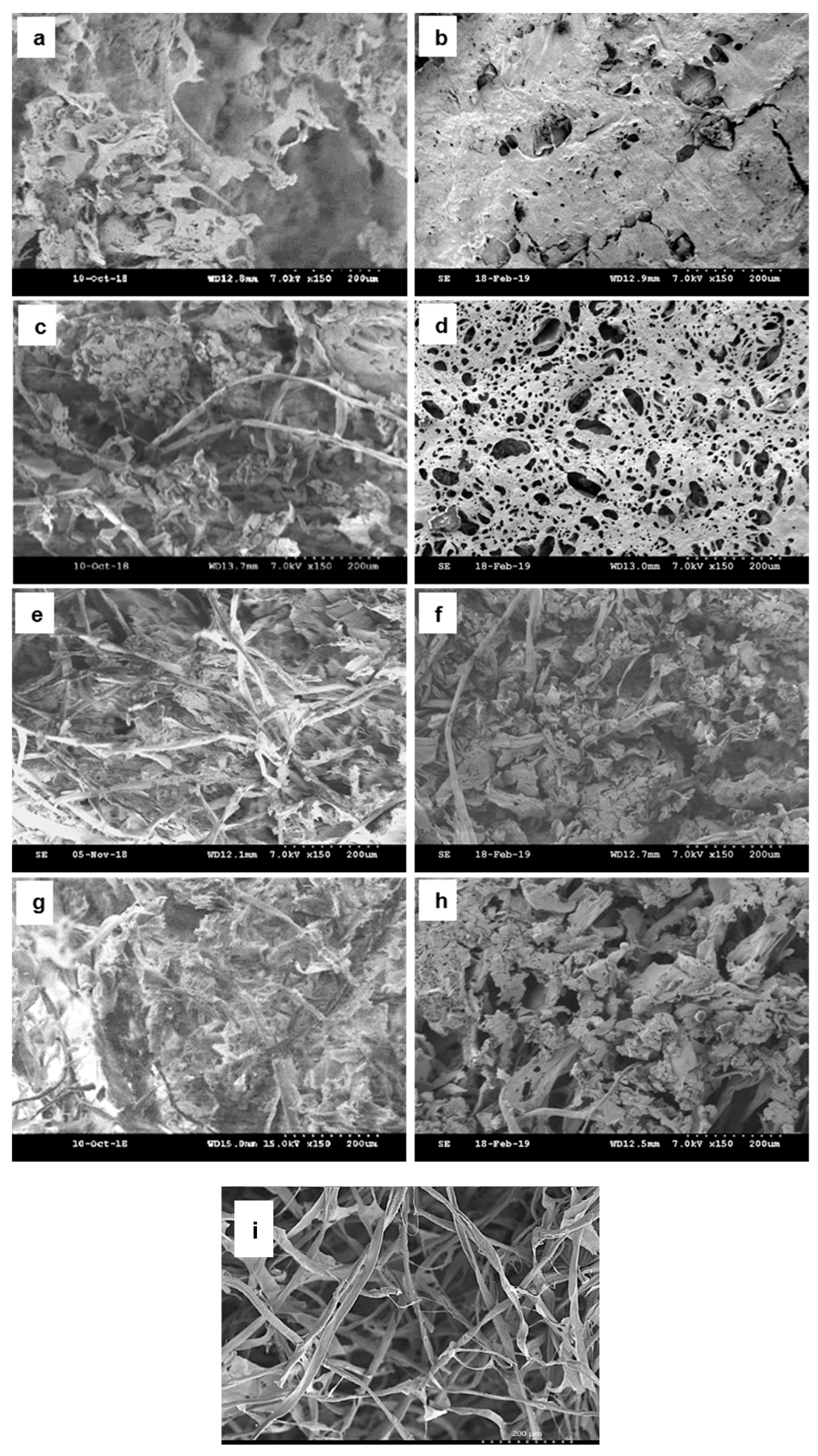 Polymers 11 01942 g001