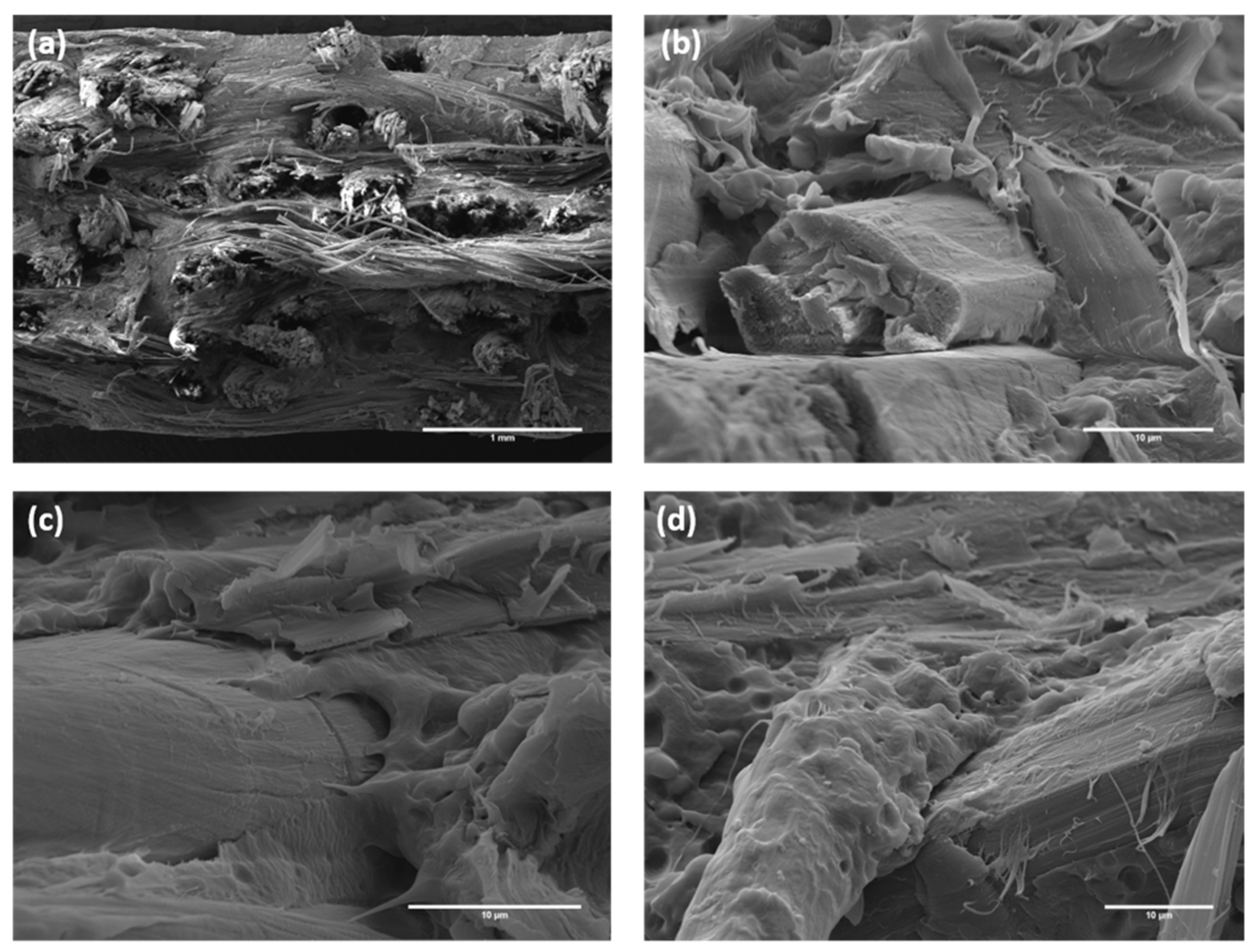 Polymers 12 00438 g006