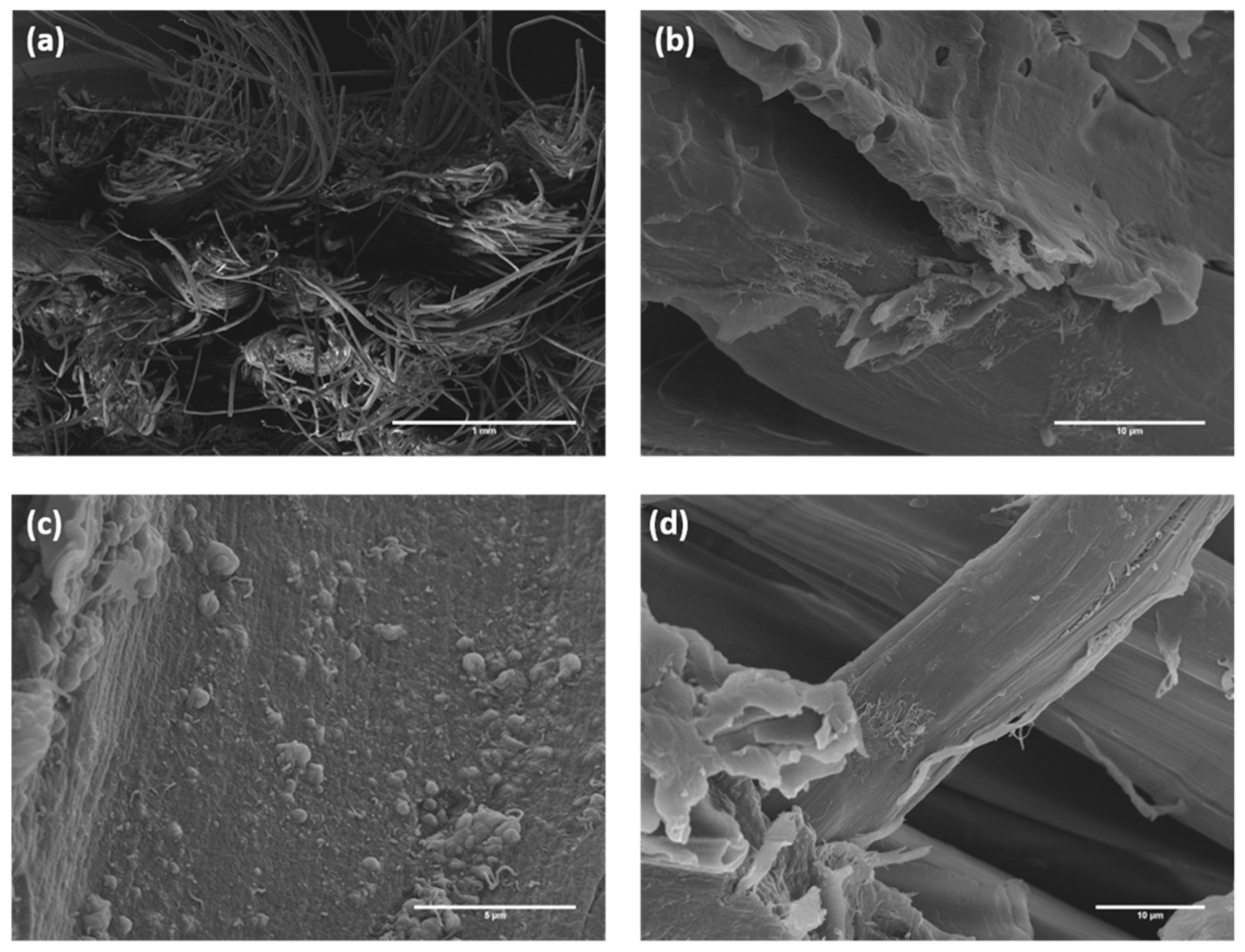 Polymers 12 00438 g007