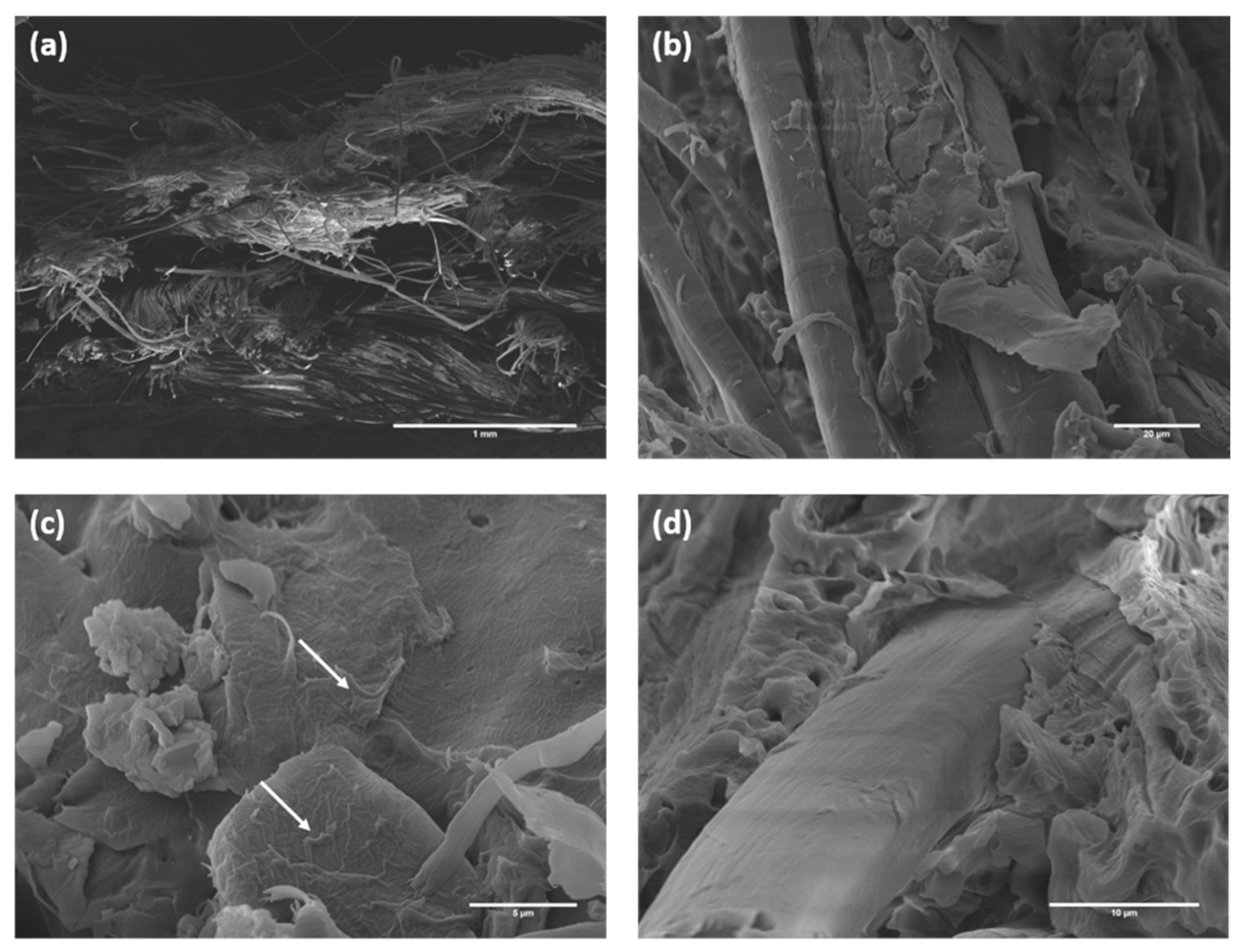 Polymers 12 00438 g008