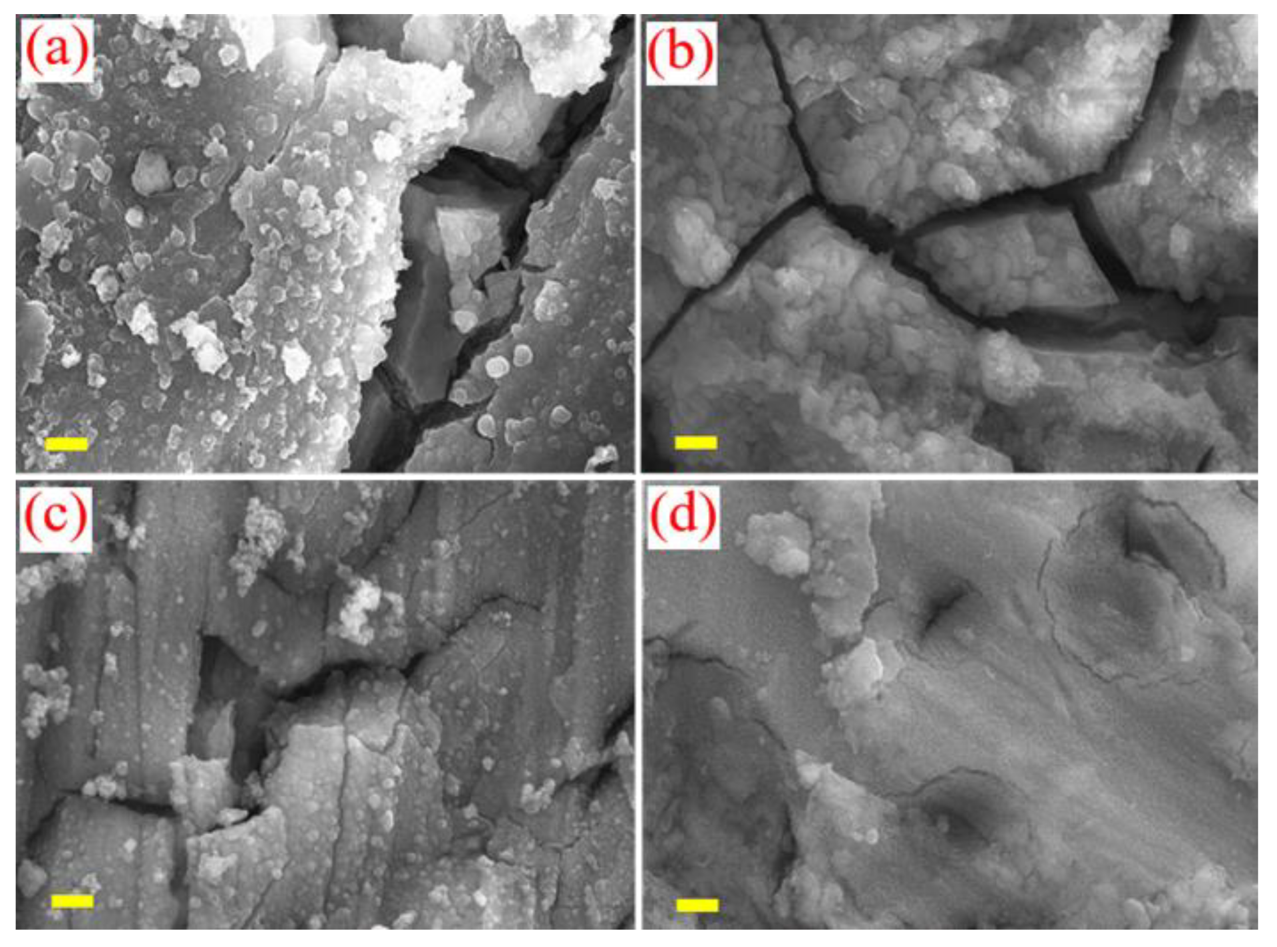 Polymers 12 00439 g002 Polymers 12 00439 g002