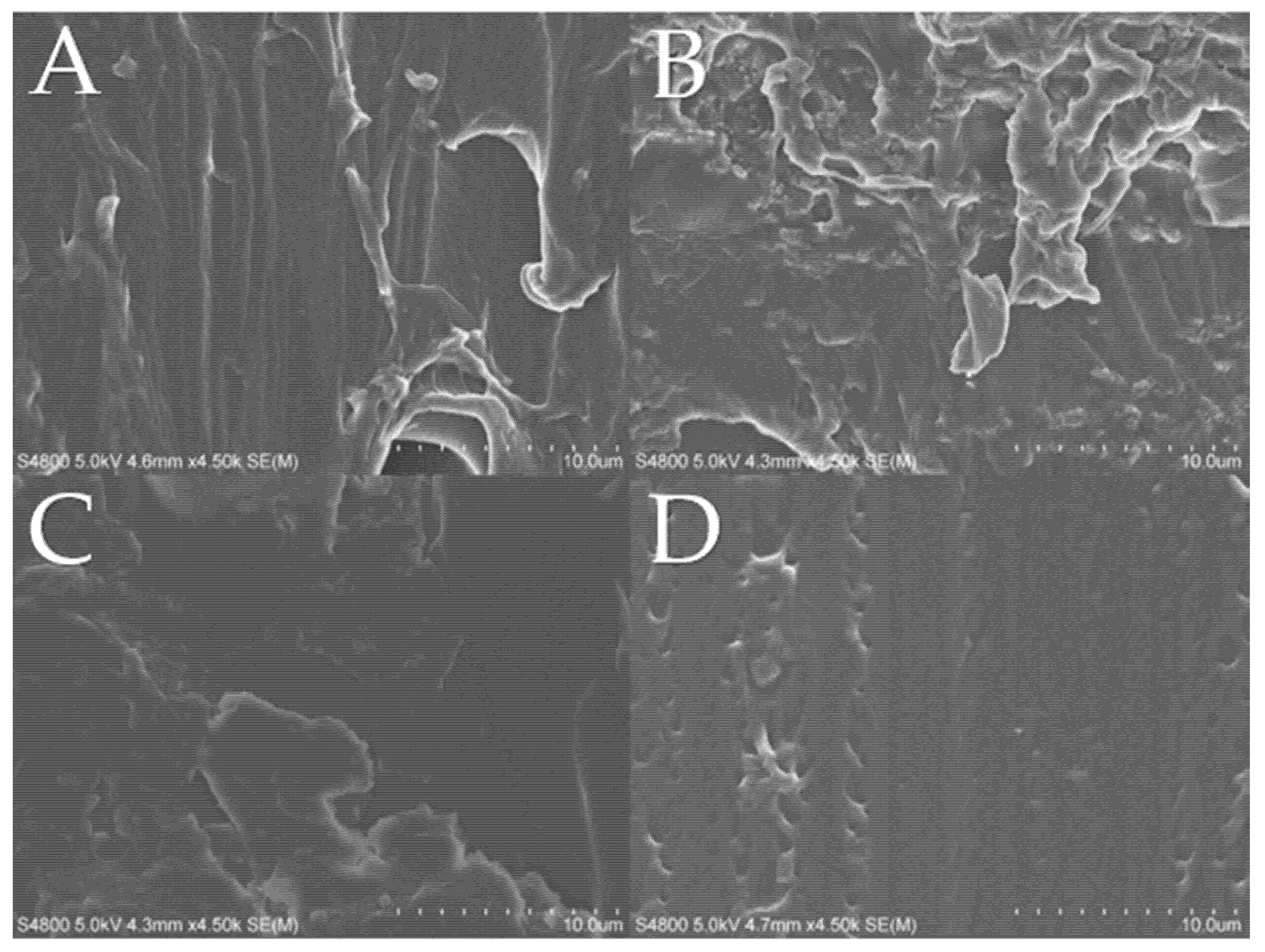 Polymers 12 00507 g004