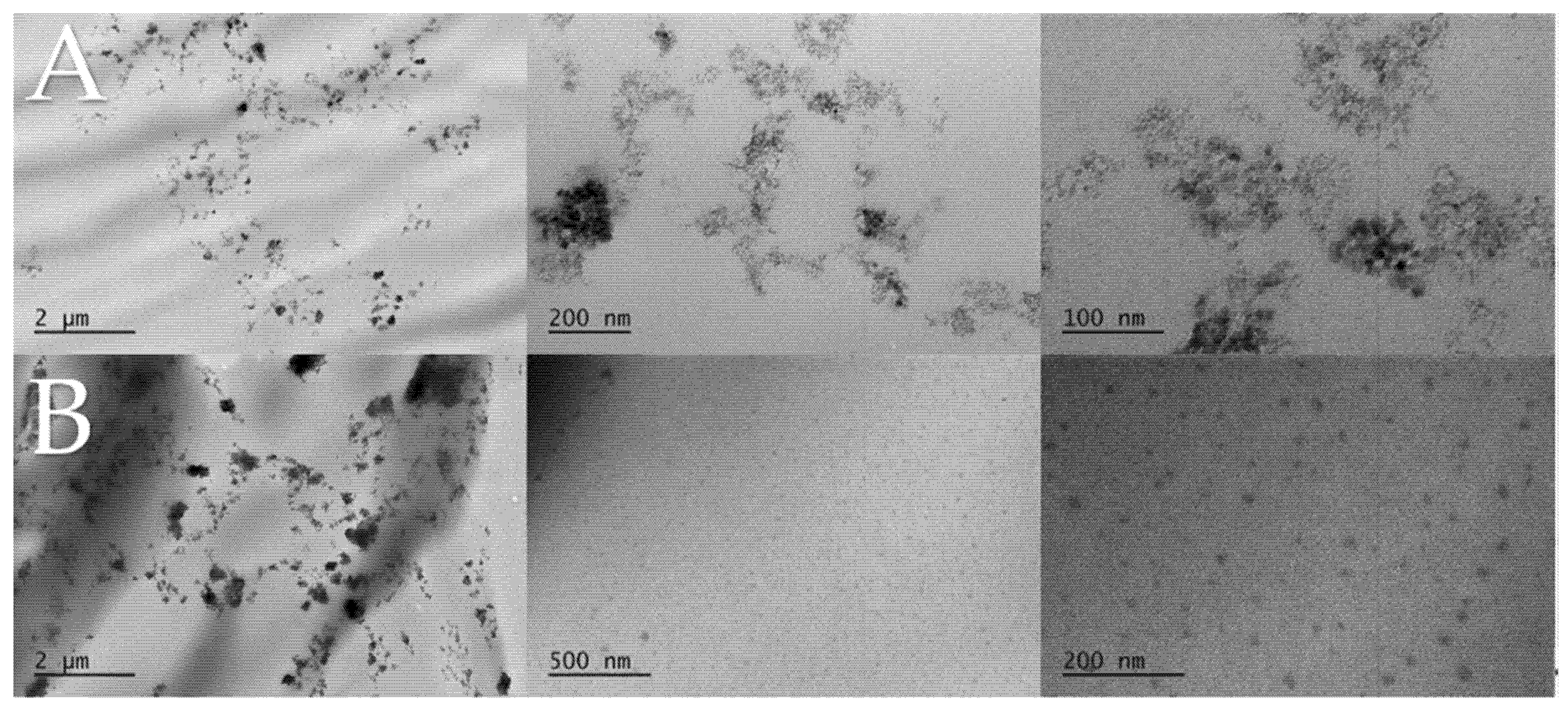 Polymers 12 00507 g005