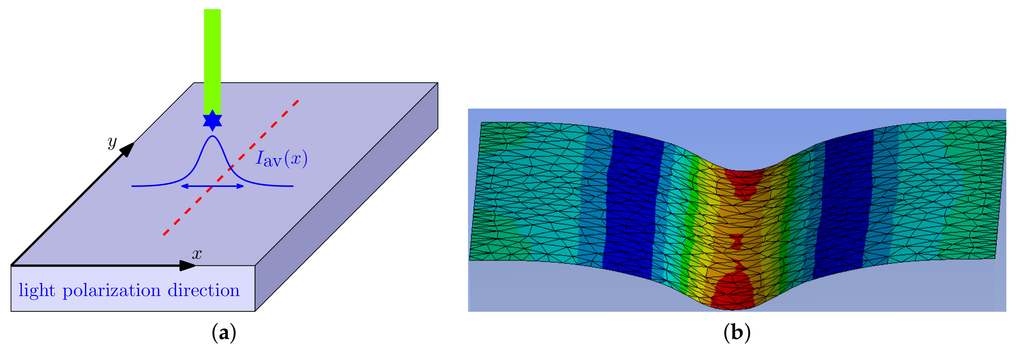 Polymers 12 00735 g001