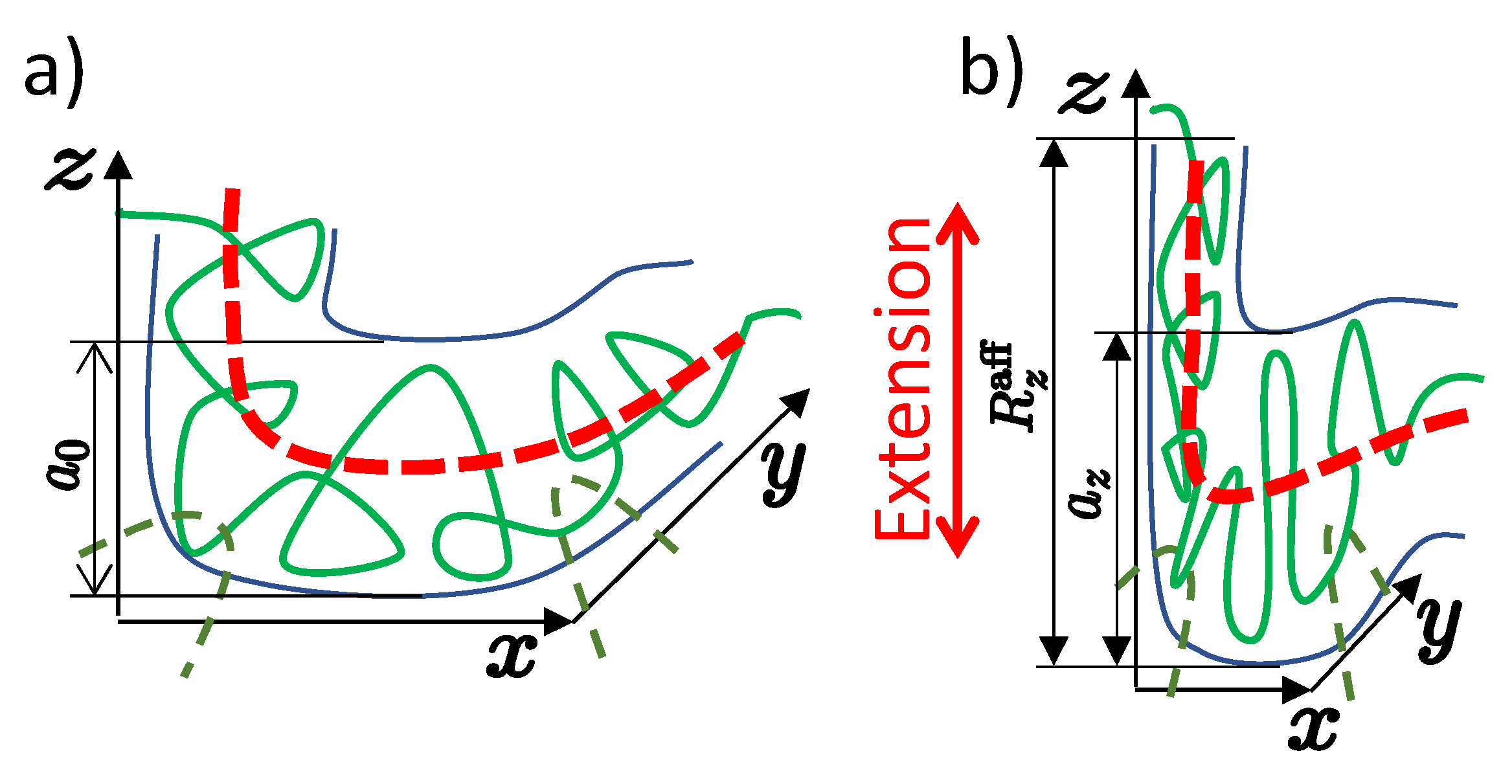 Polymers Free Full Text Theory Of Flexible Polymer Networks