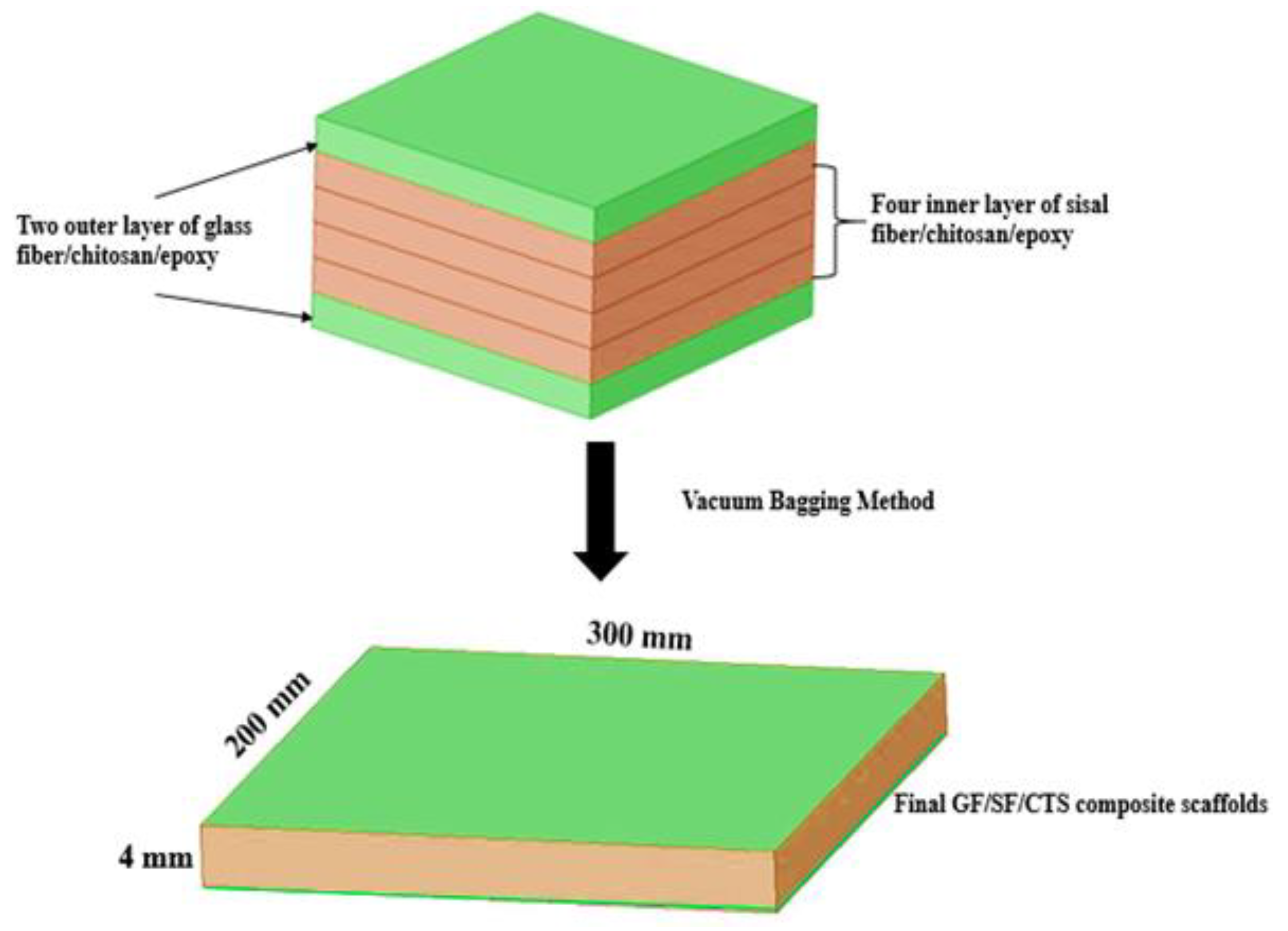 Polymers 12 01501 g001