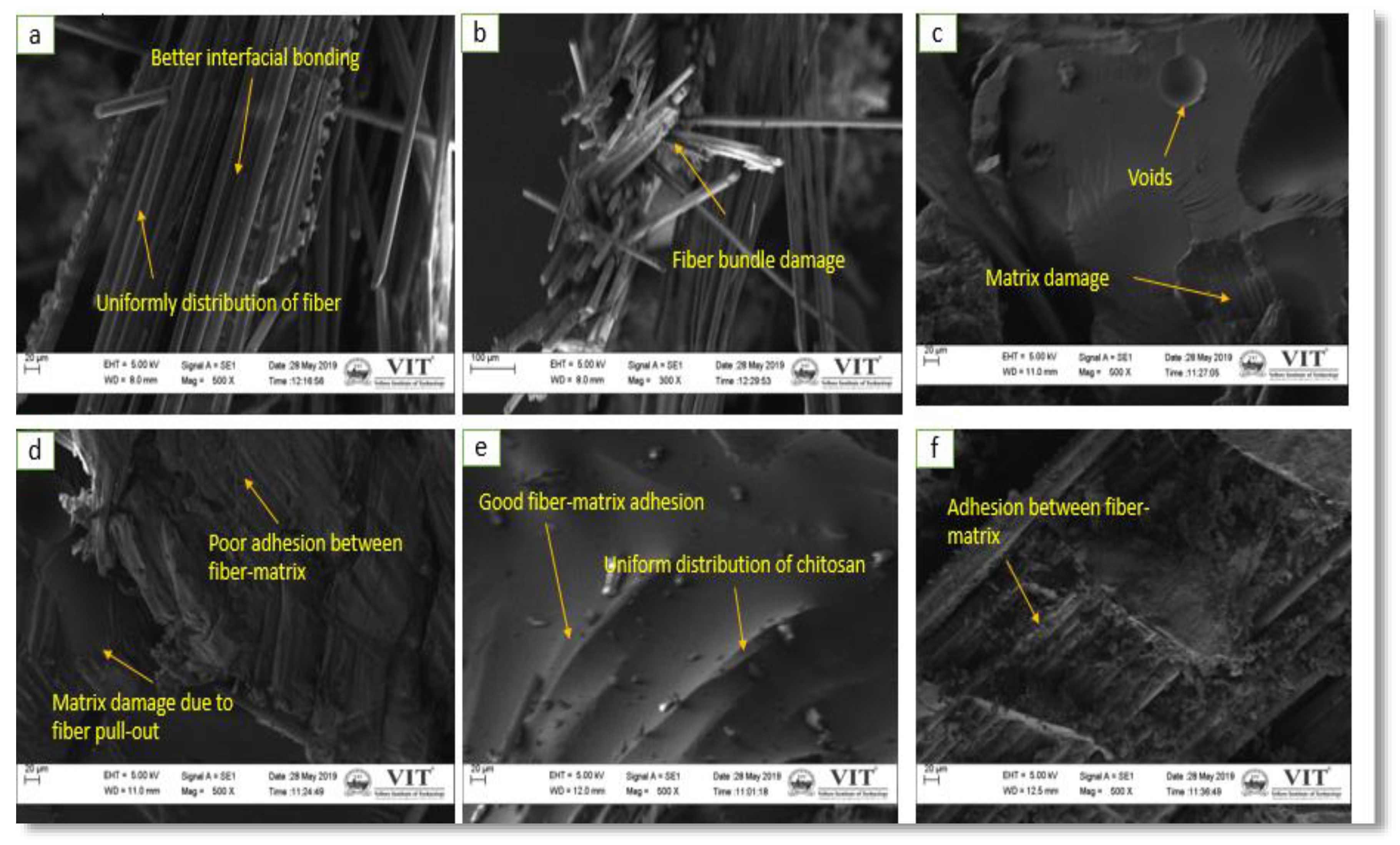 Polymers 12 01501 g011