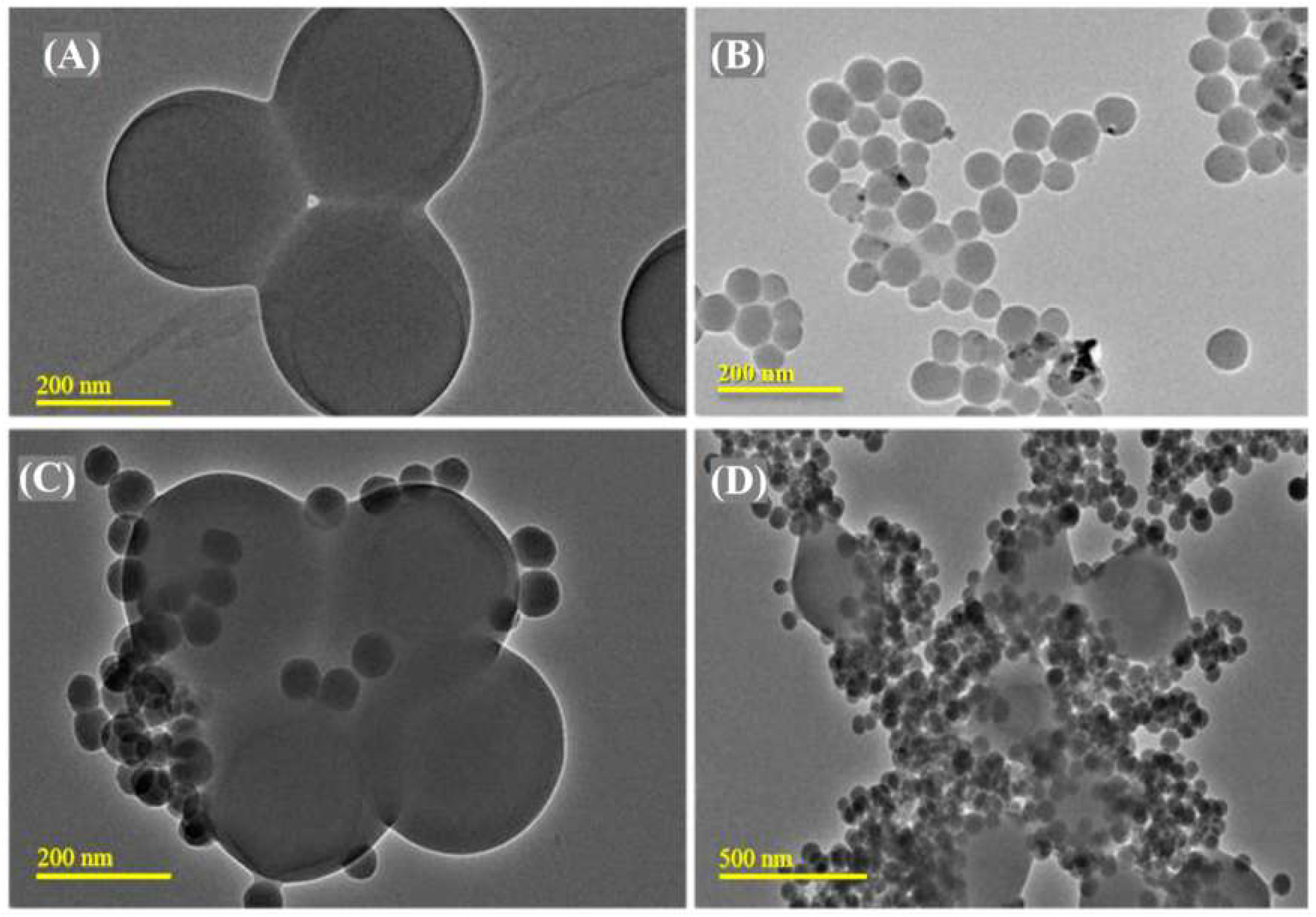 Polymers 12 01516 g005