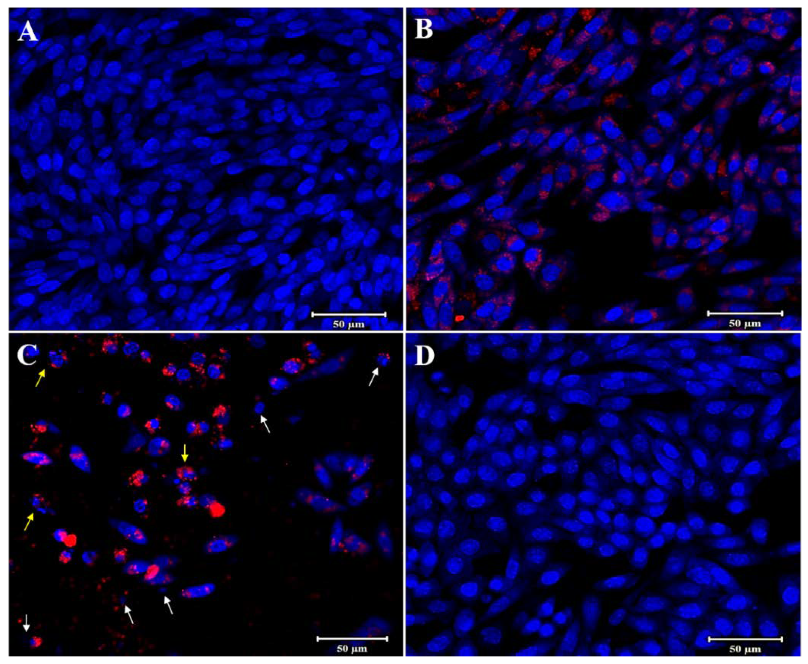 Polymers 12 01516 g010