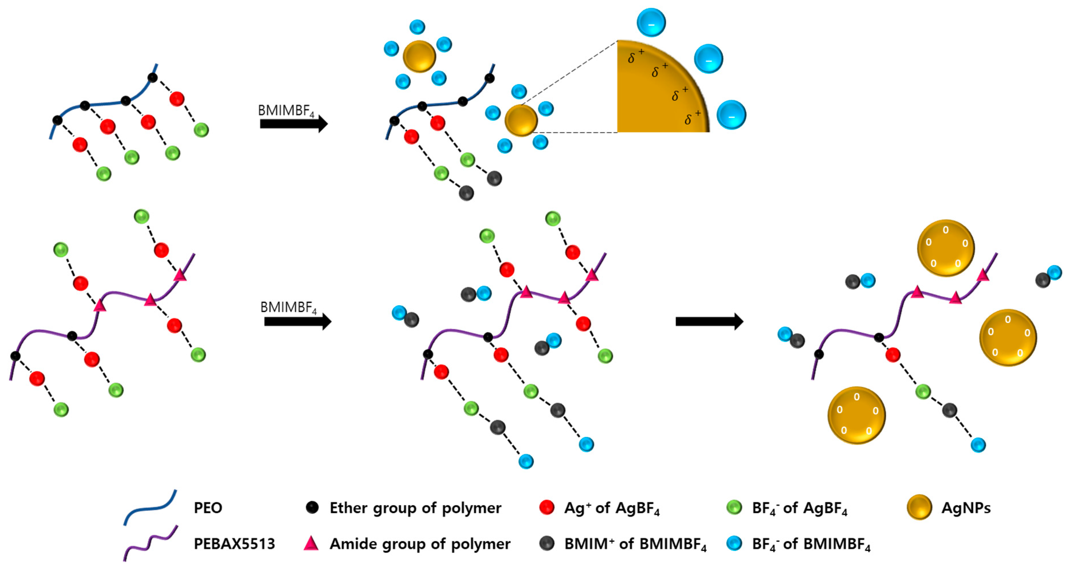 Polymers 12 01550 sch001