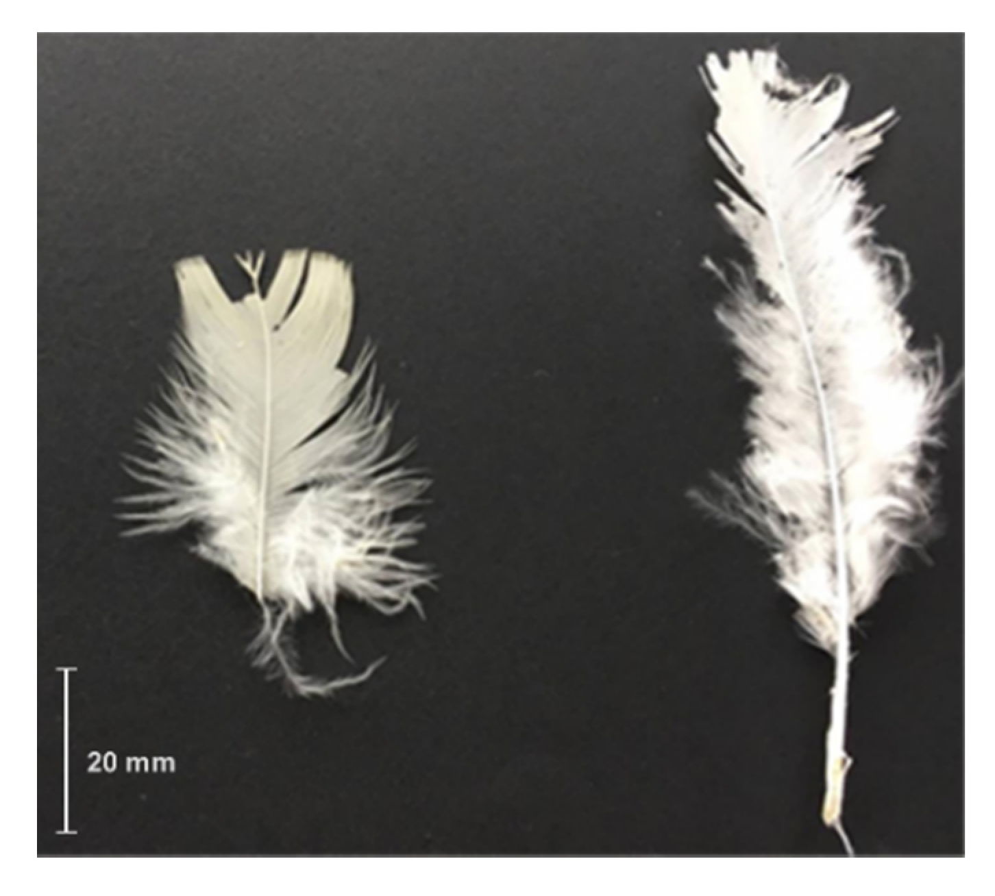 Polymers 12 01819 g003