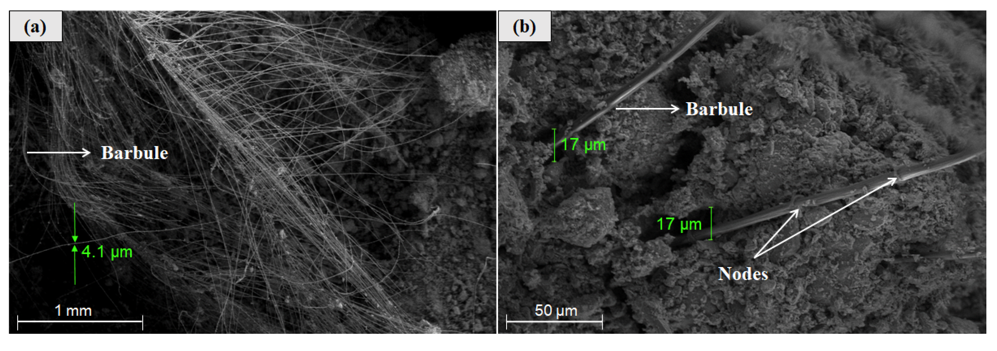 Polymers 12 01819 g009