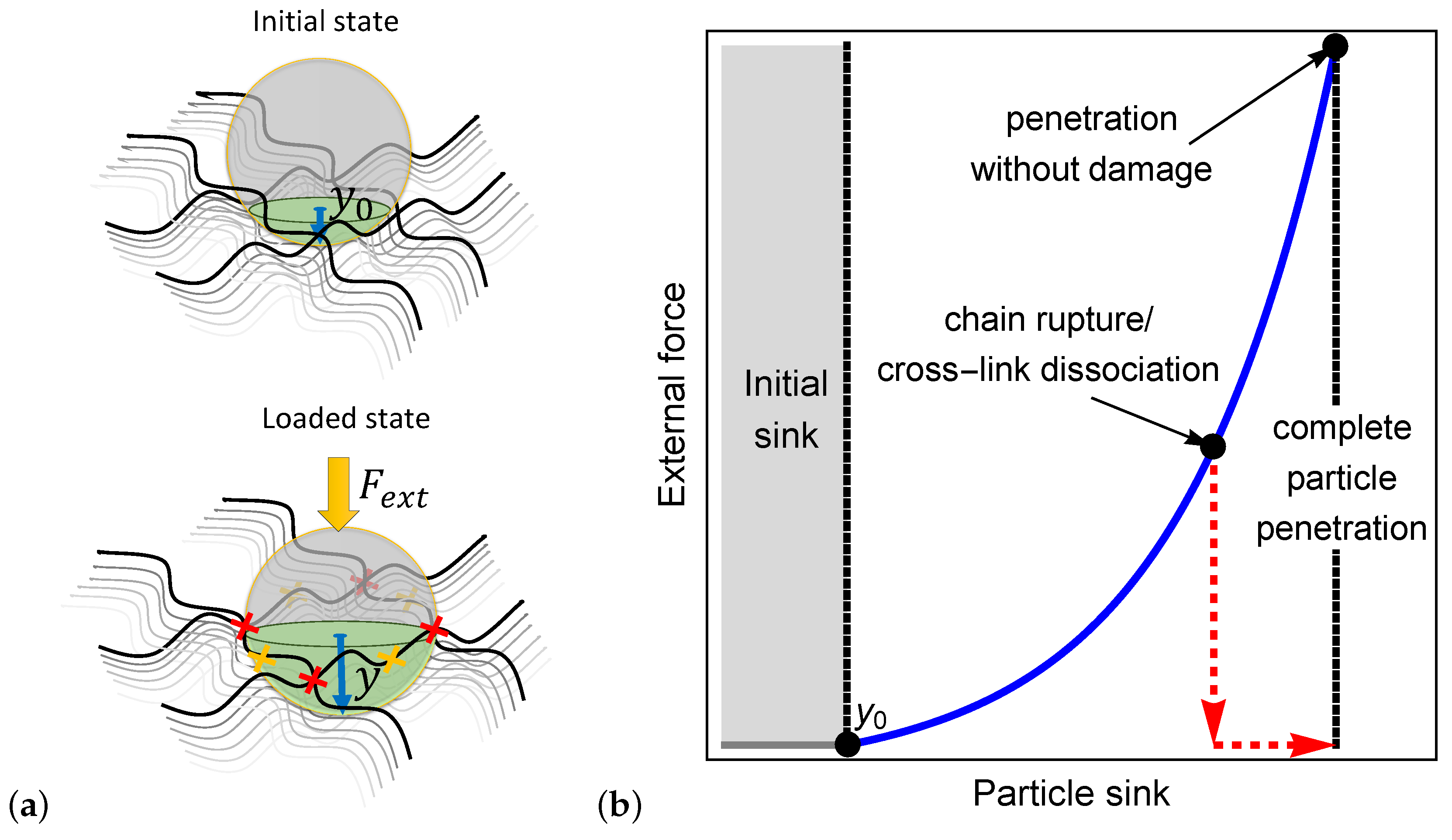 Polymers 12 01912 g001
