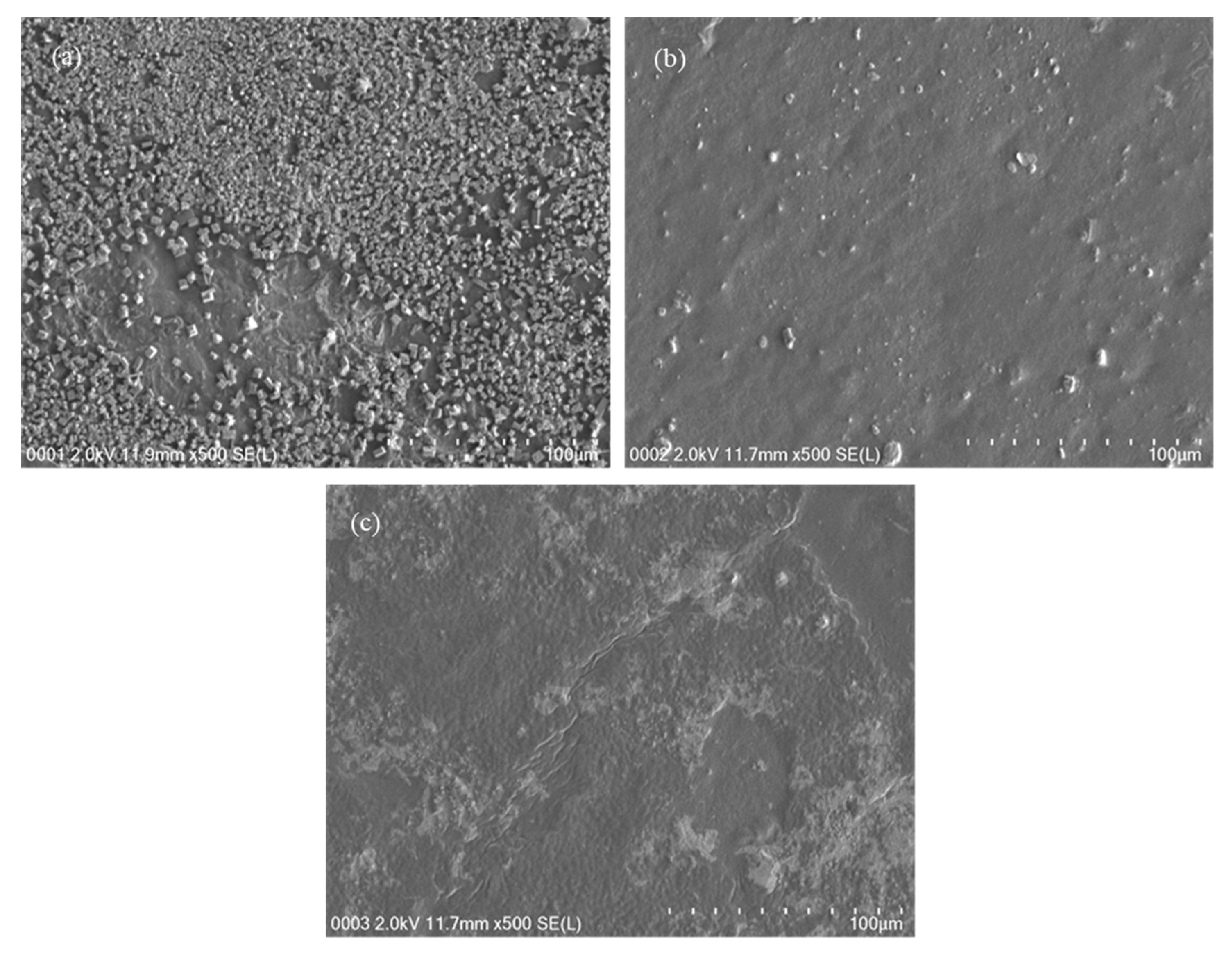 Polymers 12 02103 g002 Polymers 12 02103 g002